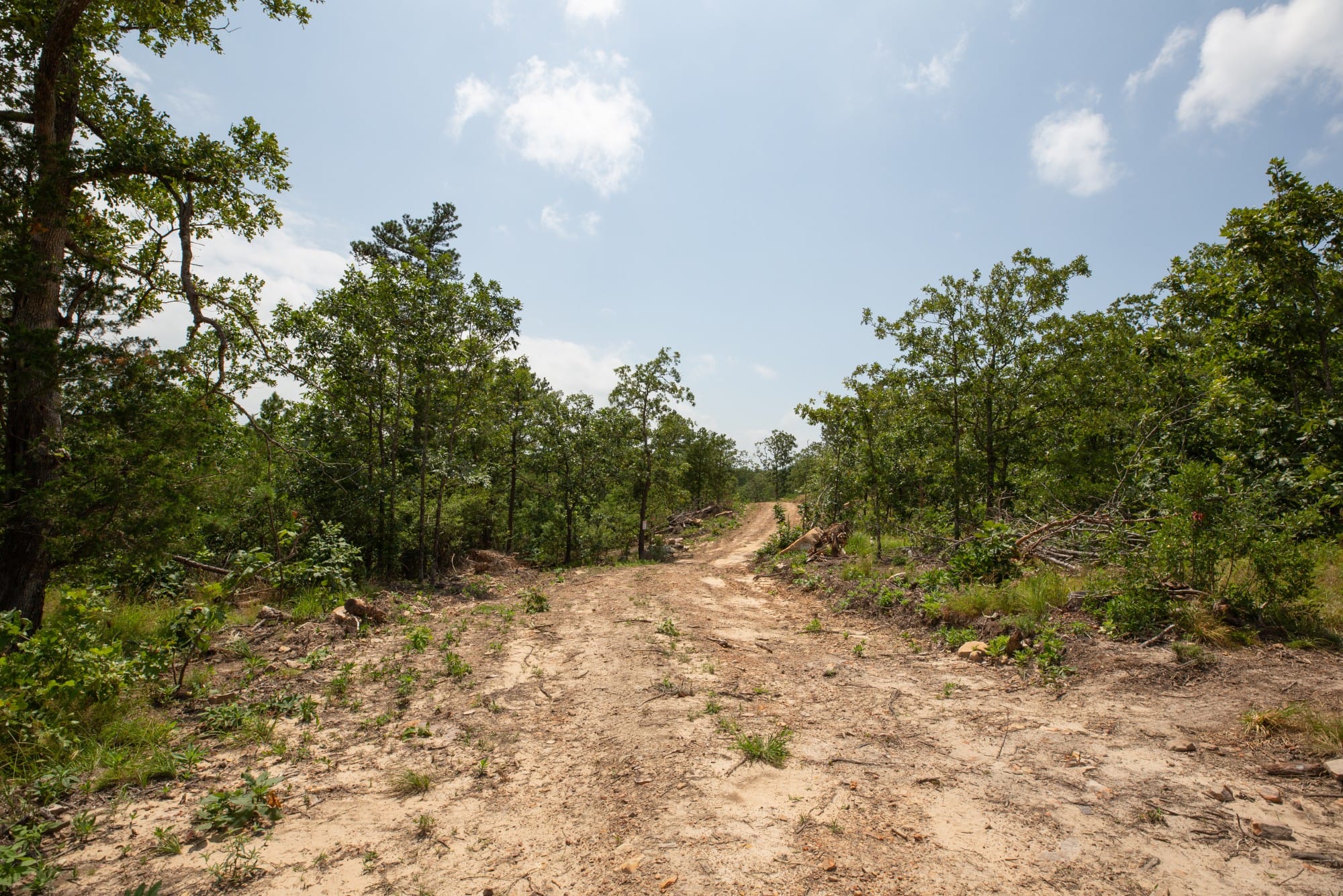 Eagle’s Nest Tract 28 photo 6