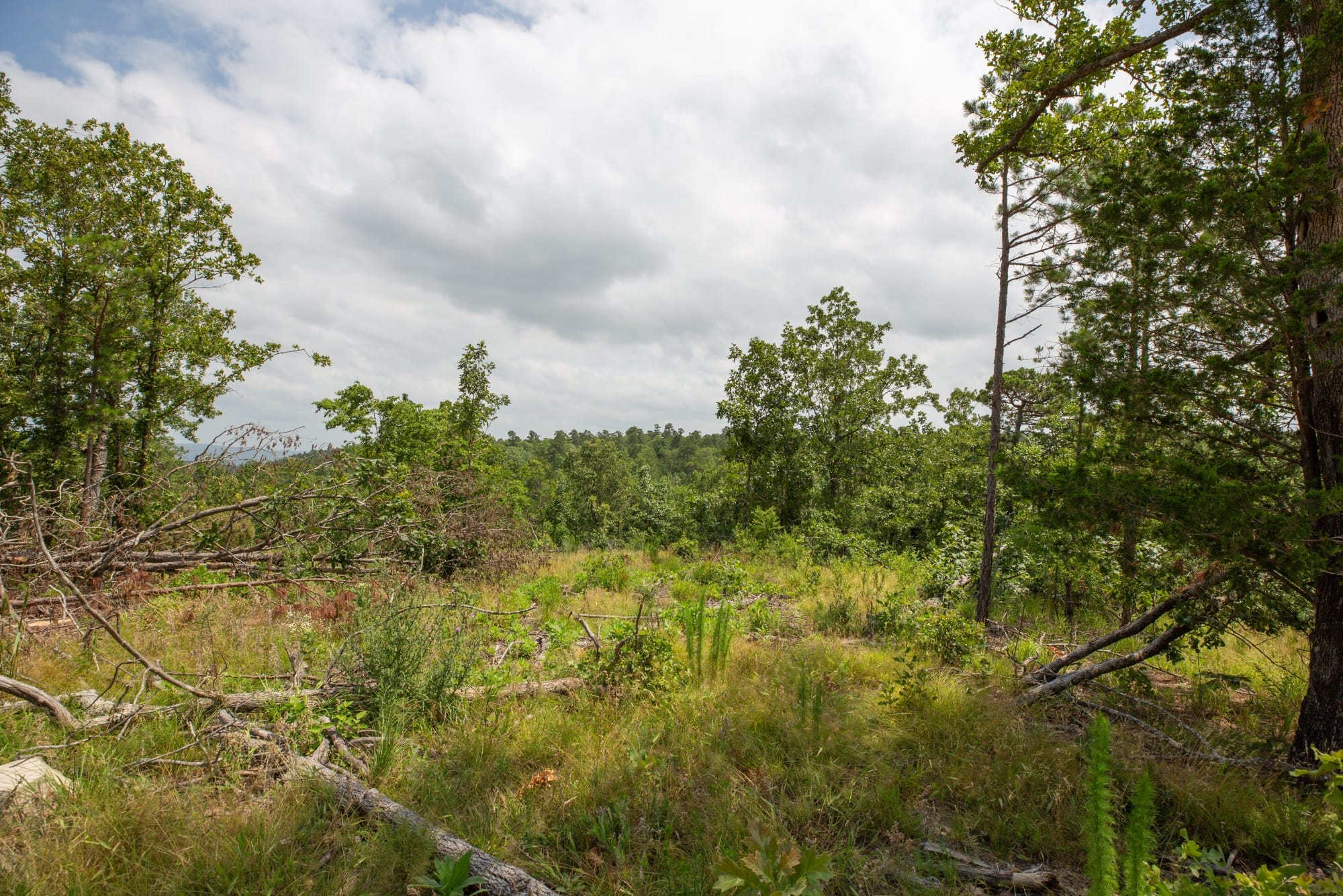 Eagle’s Nest Tract 28 photo 10