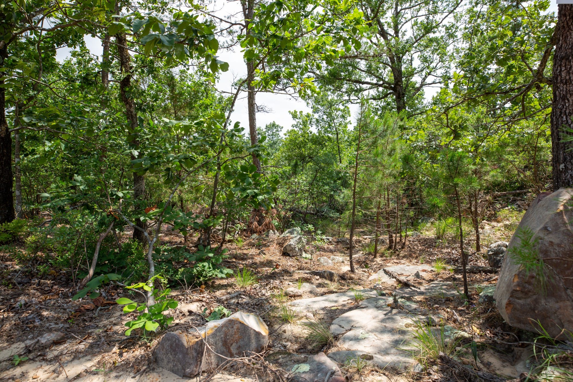 Eagle’s Nest Tract 28 photo 12