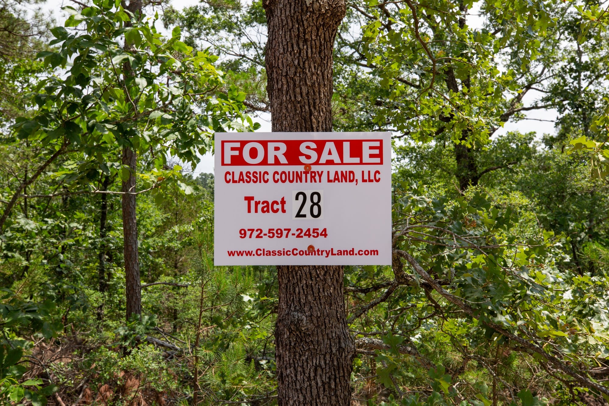 Eagle’s Nest Tract 28 photo 1