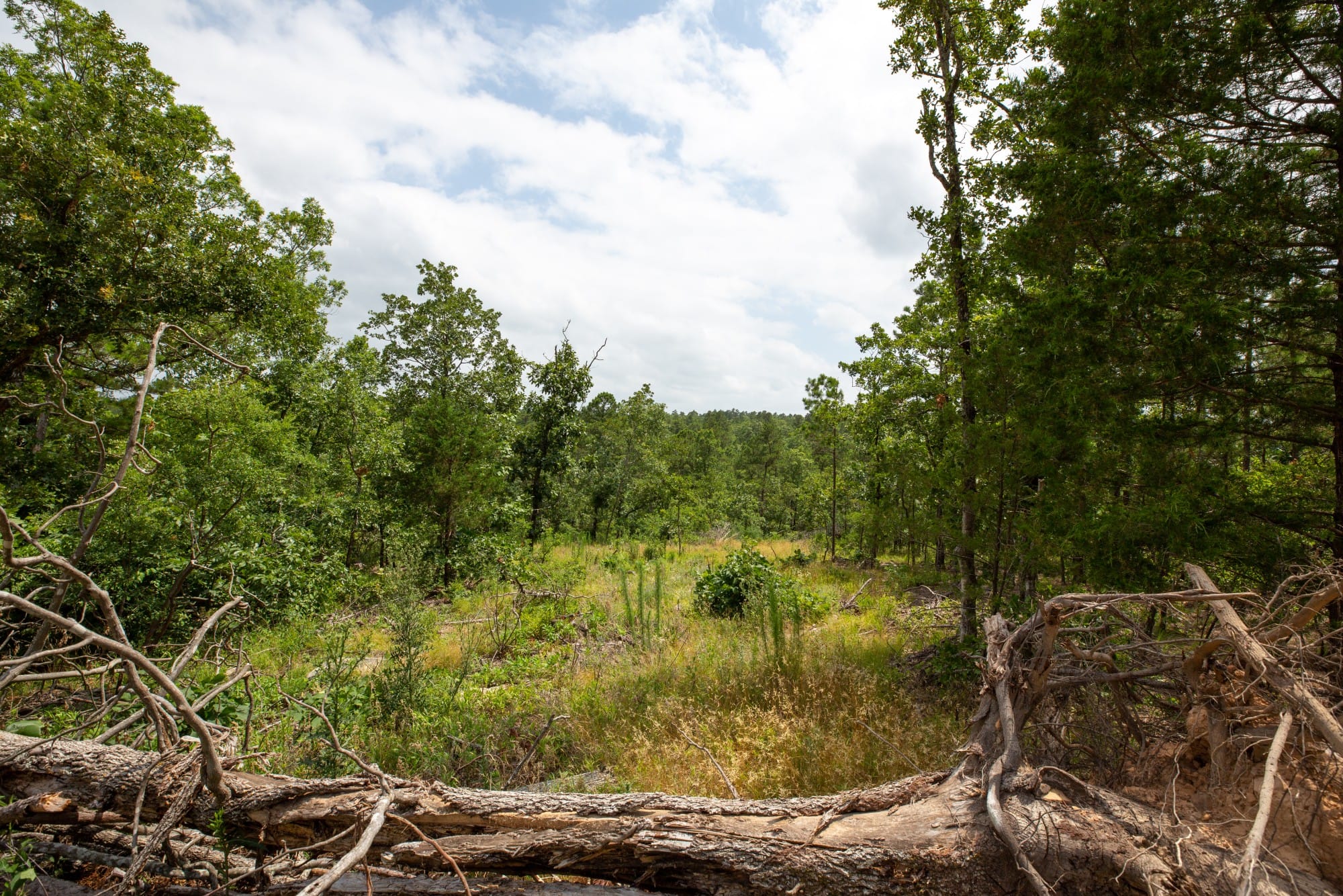Eagle’s Nest Tract 28 photo 14
