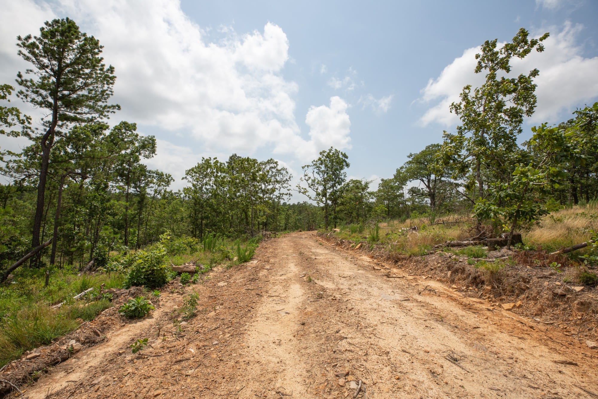 Eagle’s Nest Tract 28 photo 11