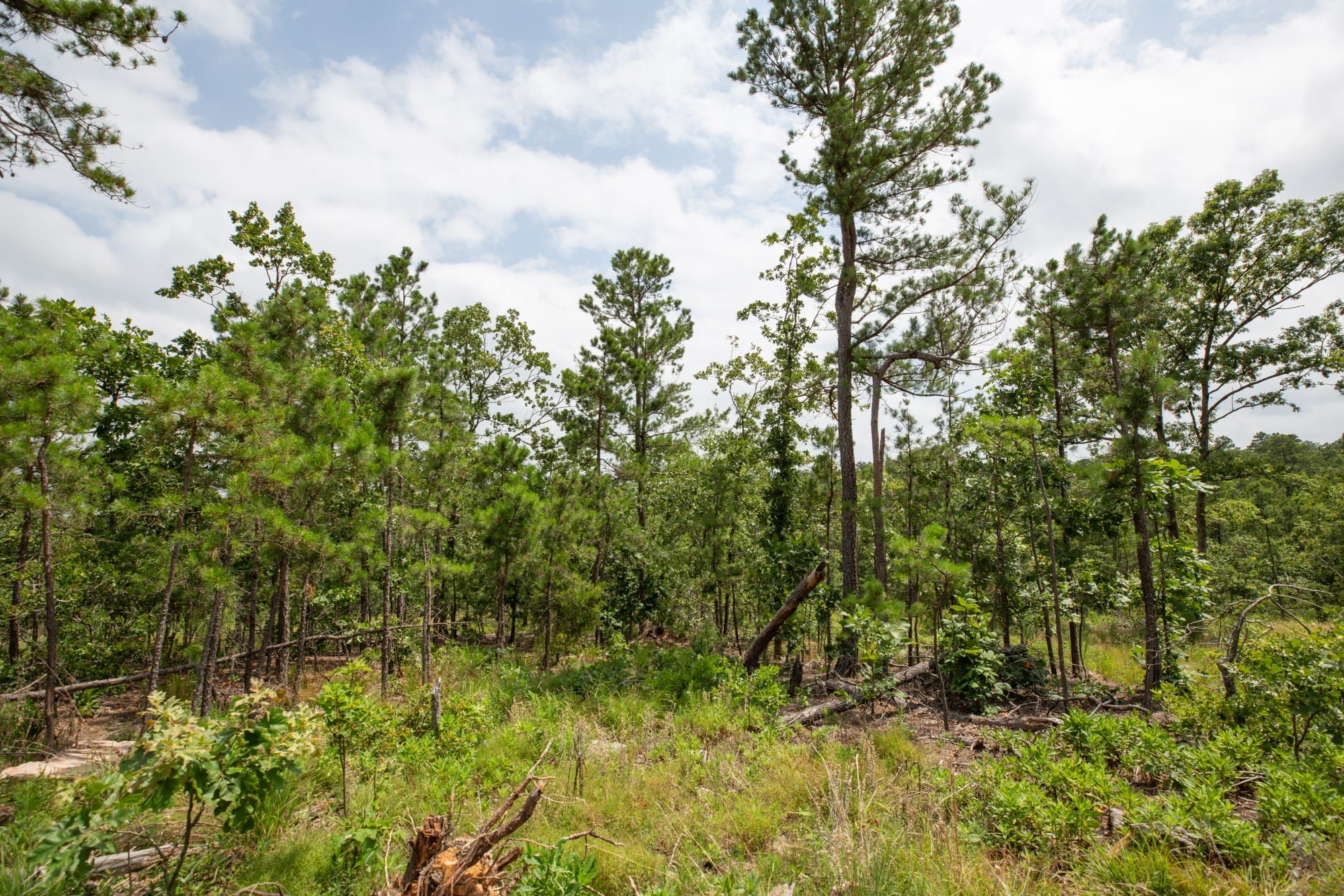 Eagle’s Nest Tract 28 photo 15