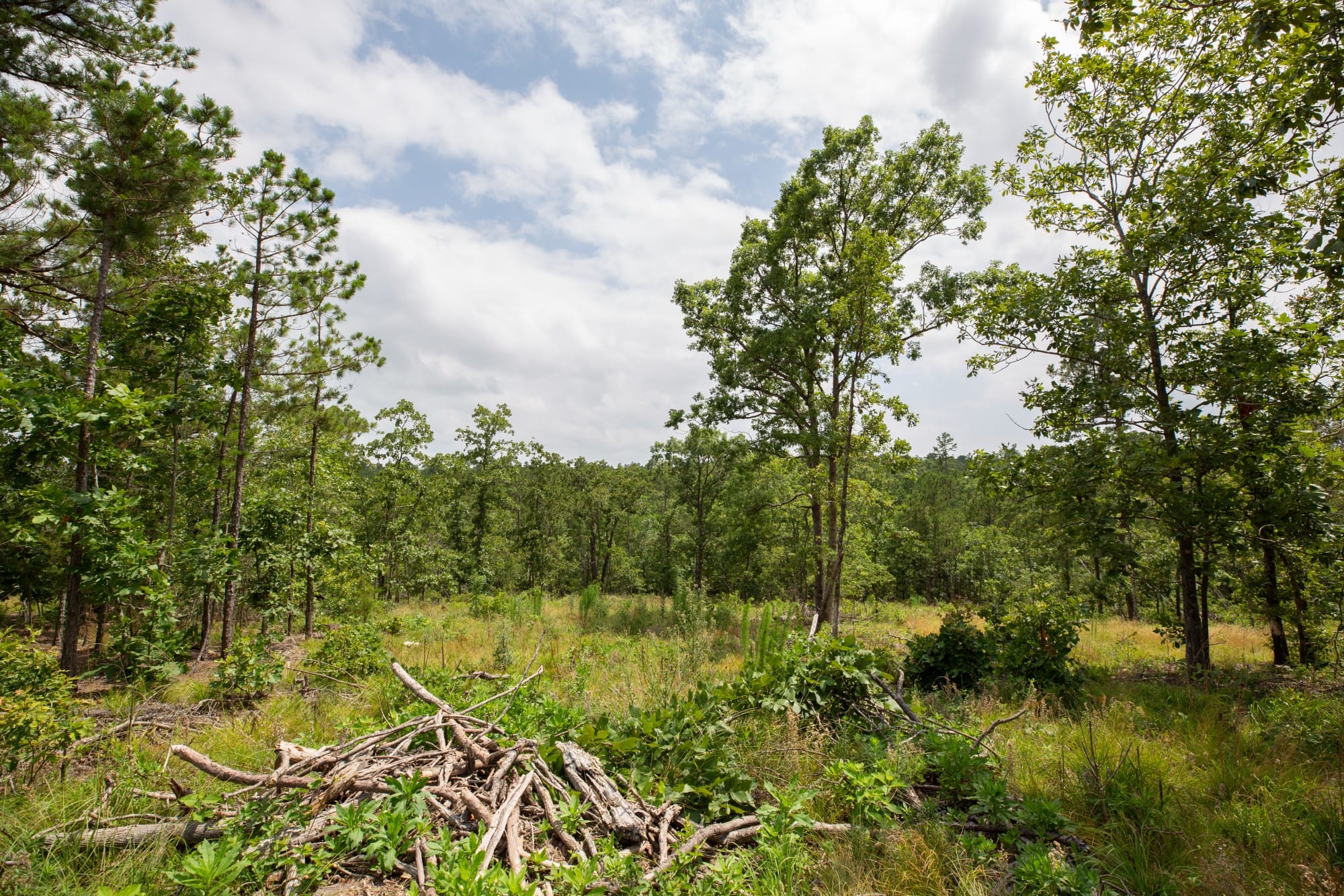 Eagle’s Nest Tract 28 photo 16