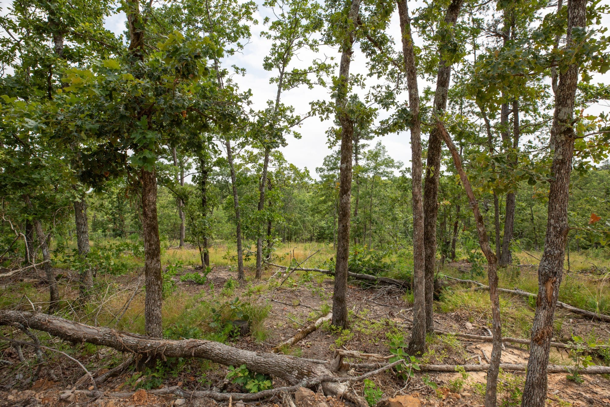Eagle’s Nest Tract 28 photo 17