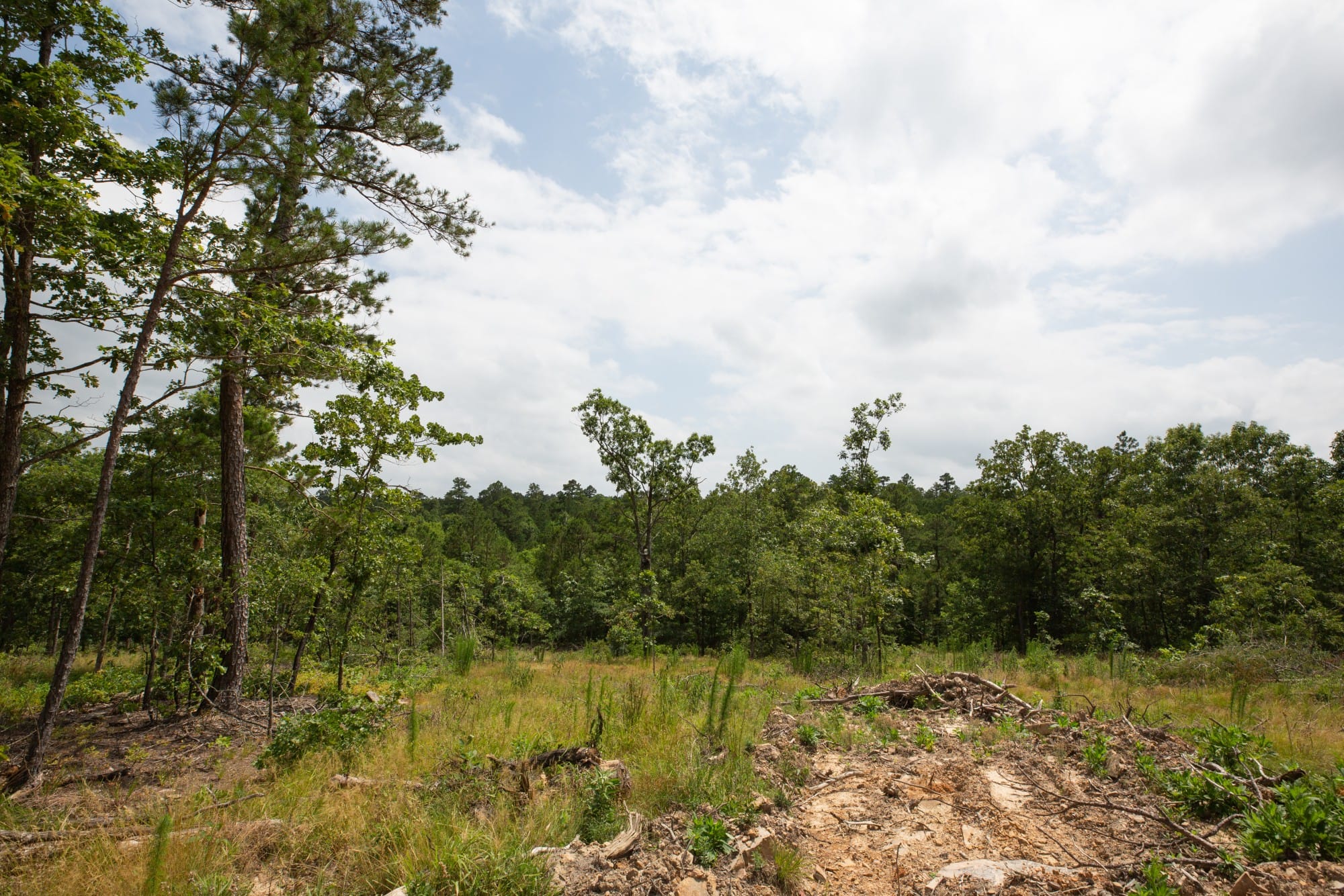 Eagle’s Nest Tract 28 photo 18