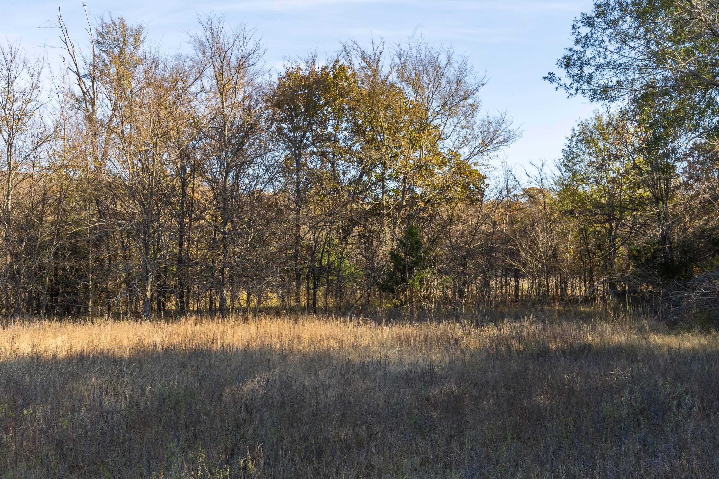 Harmony Hills Tract 42 photo 4