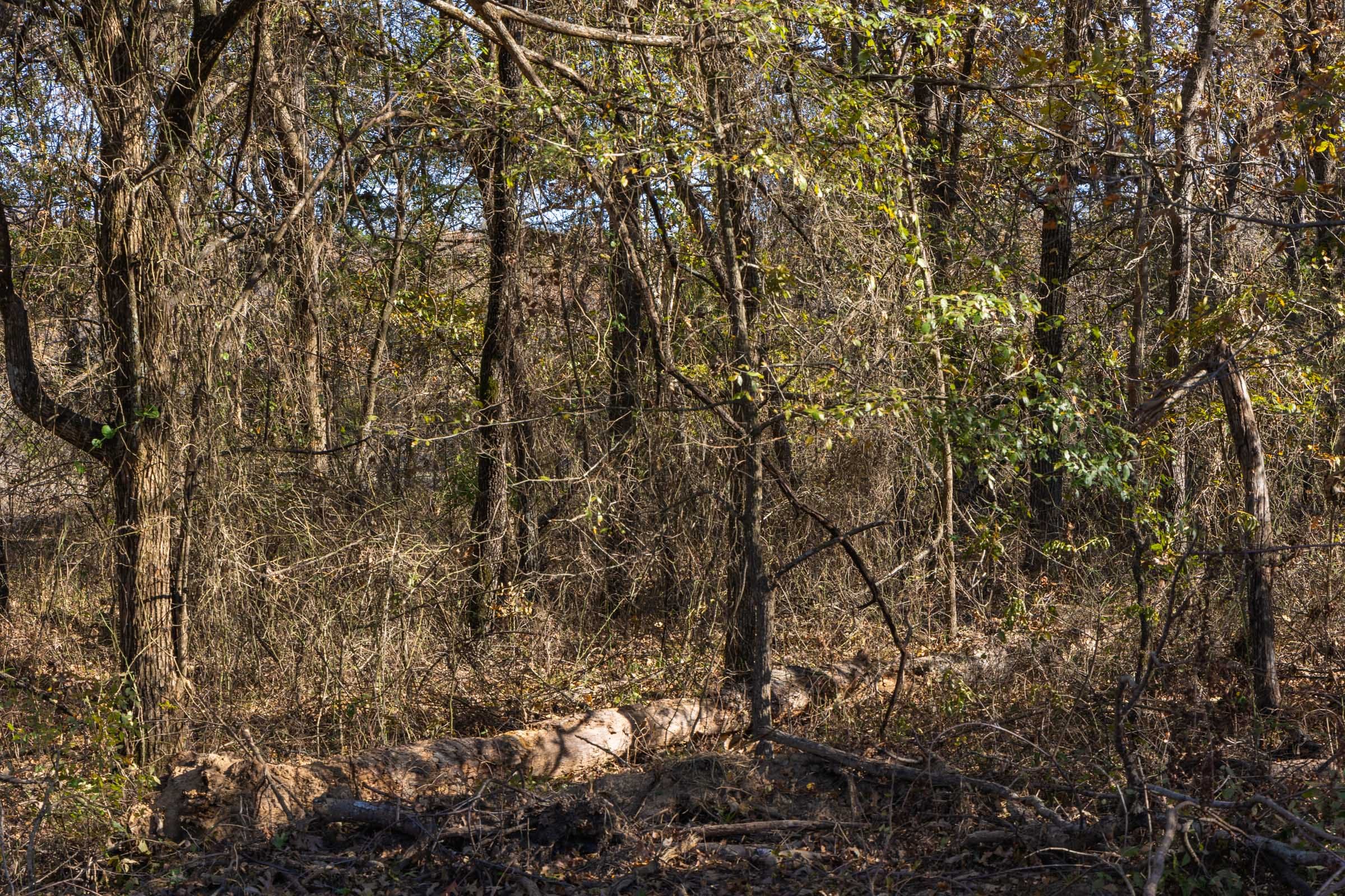 Harmony Hills Tract 42 photo 8