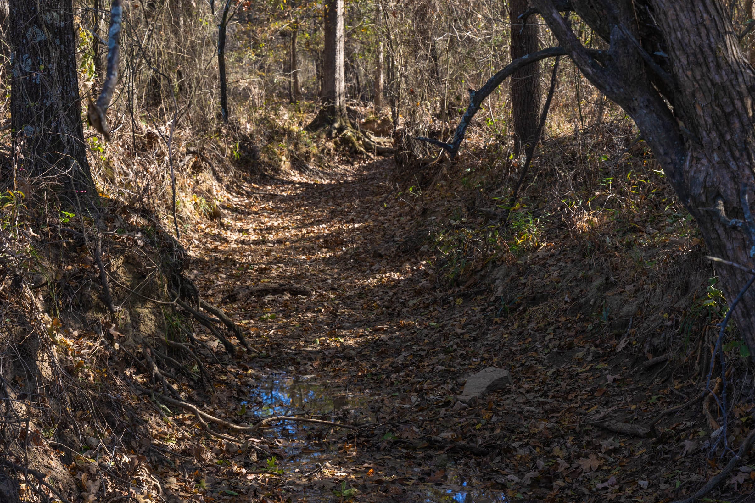 Harmony Hills Tract 42 photo 2