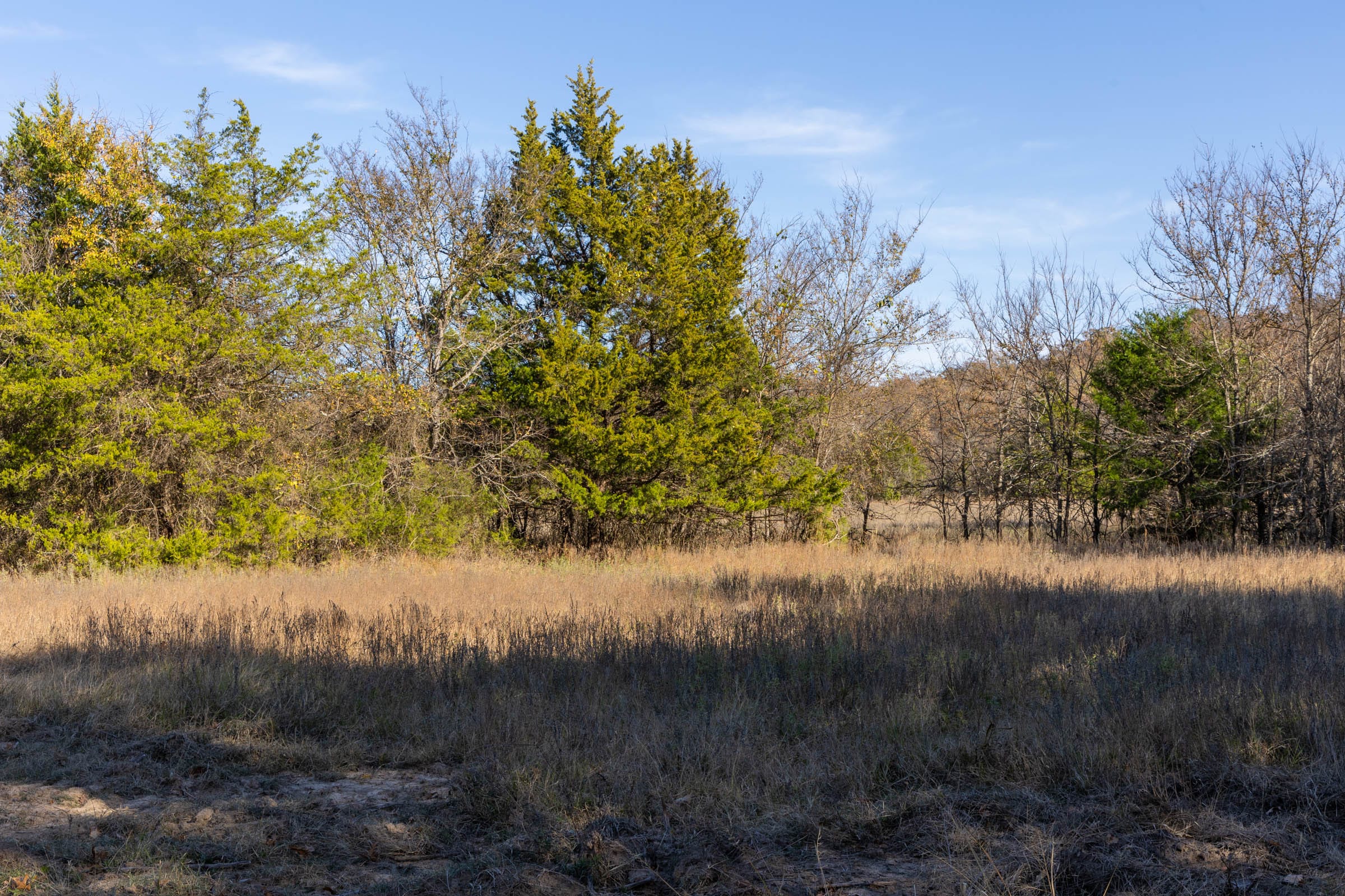 Harmony Hills Tract 42 photo 5