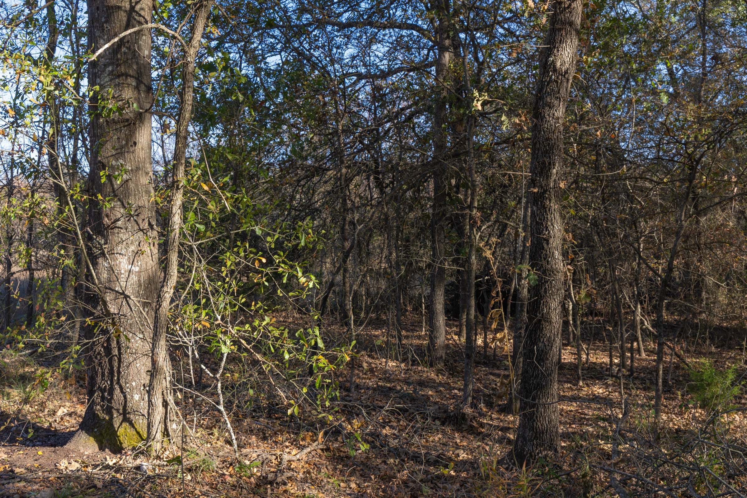 Harmony Hills Tract 42 photo 6