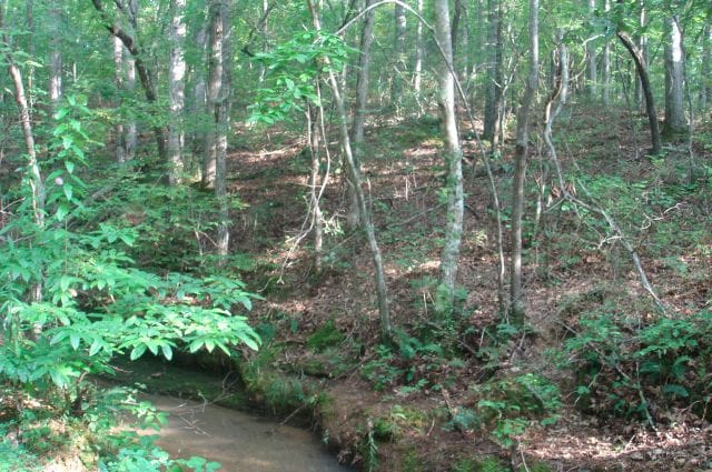 Sugartree Falls Tract 3 photo 2