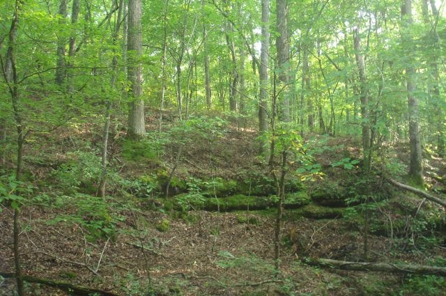 Sugartree Falls Tract 3 photo 4