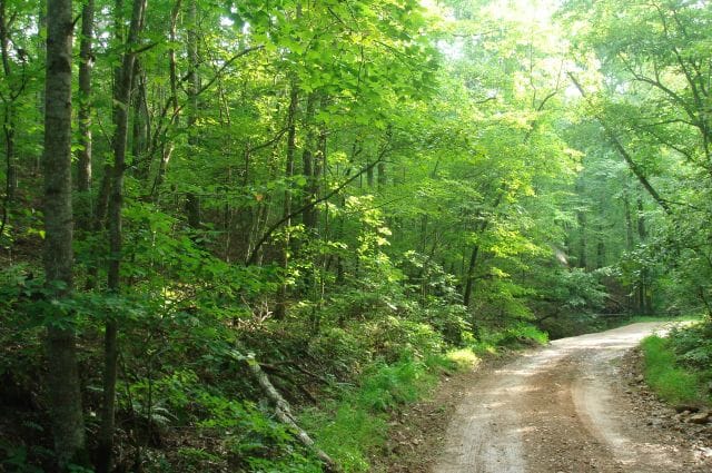 Sugartree Falls Tract 3 photo 6