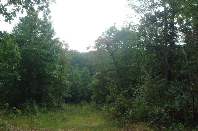 Sugartree Falls Tract 3 photo 7
