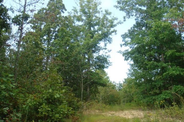 Sugartree Falls Tract 3 photo 1