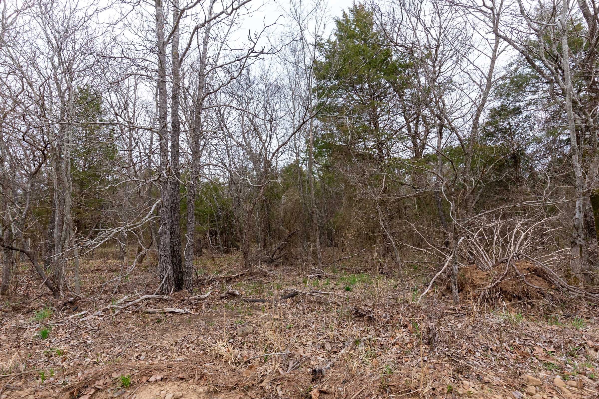 Stone Bridge Phase III Tract 146 photo 3