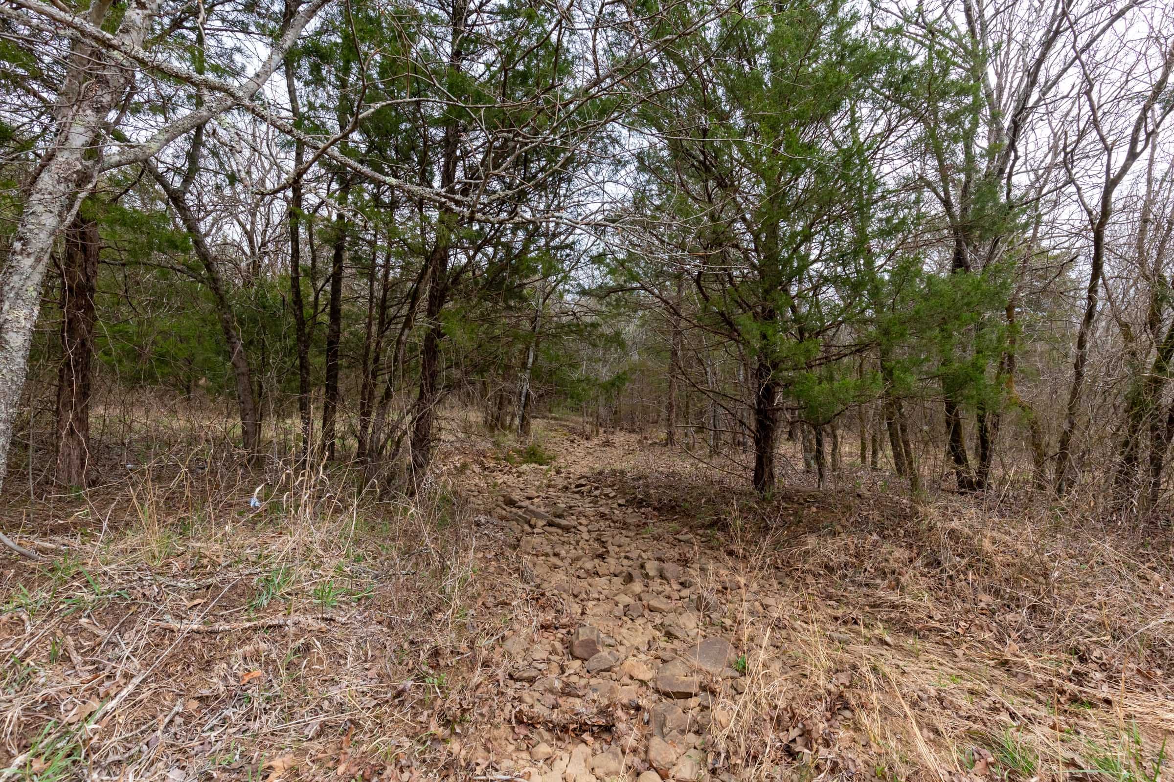 Stone Bridge Phase III Tract 146 photo 5