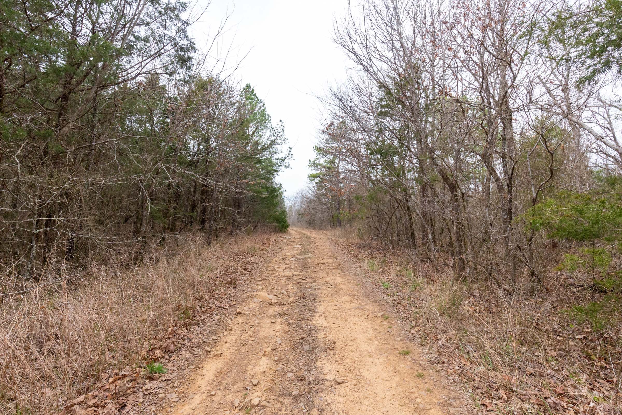 Stone Bridge Phase III Tract 146 photo 1