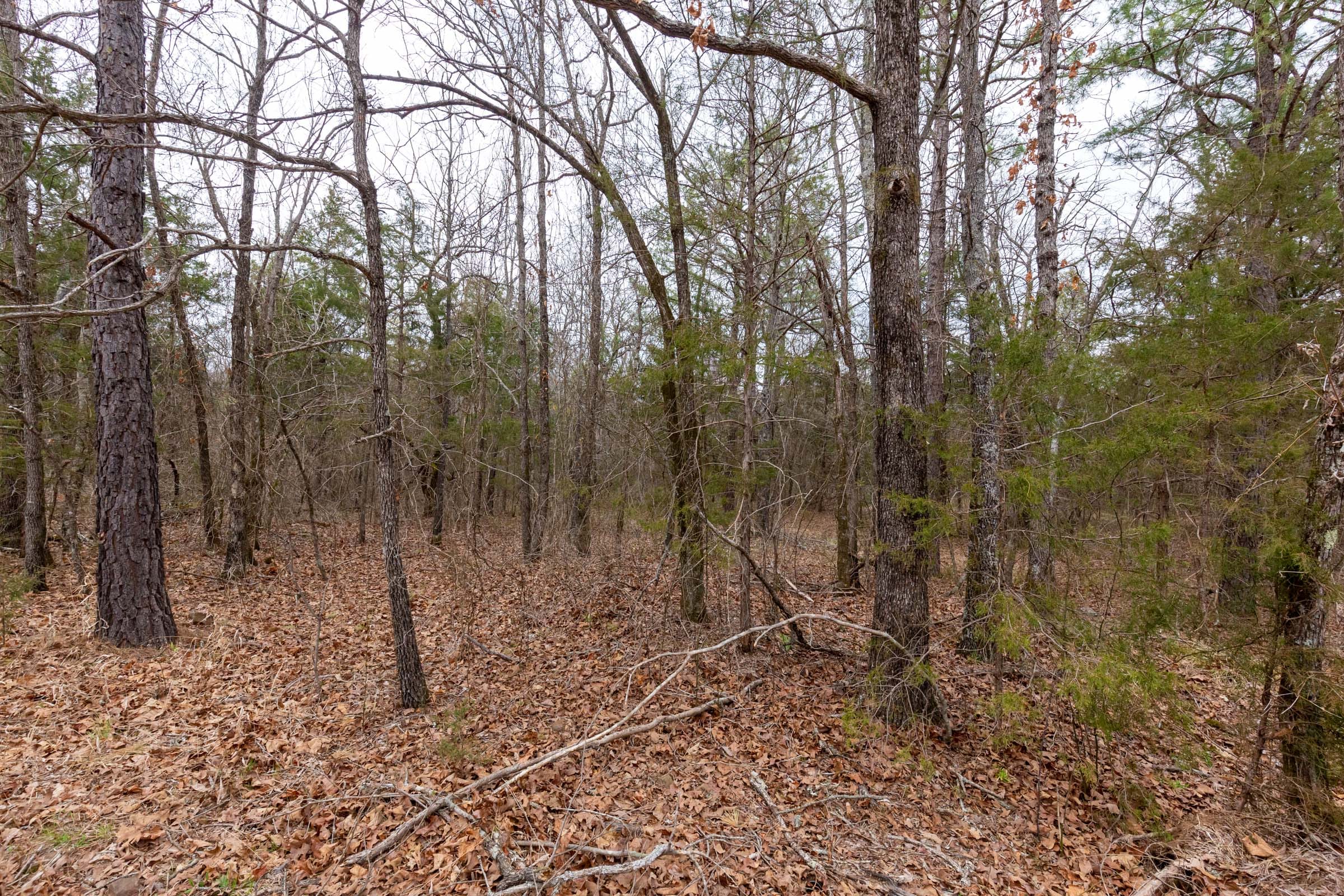 Stone Bridge Phase III Tract 146 photo 6