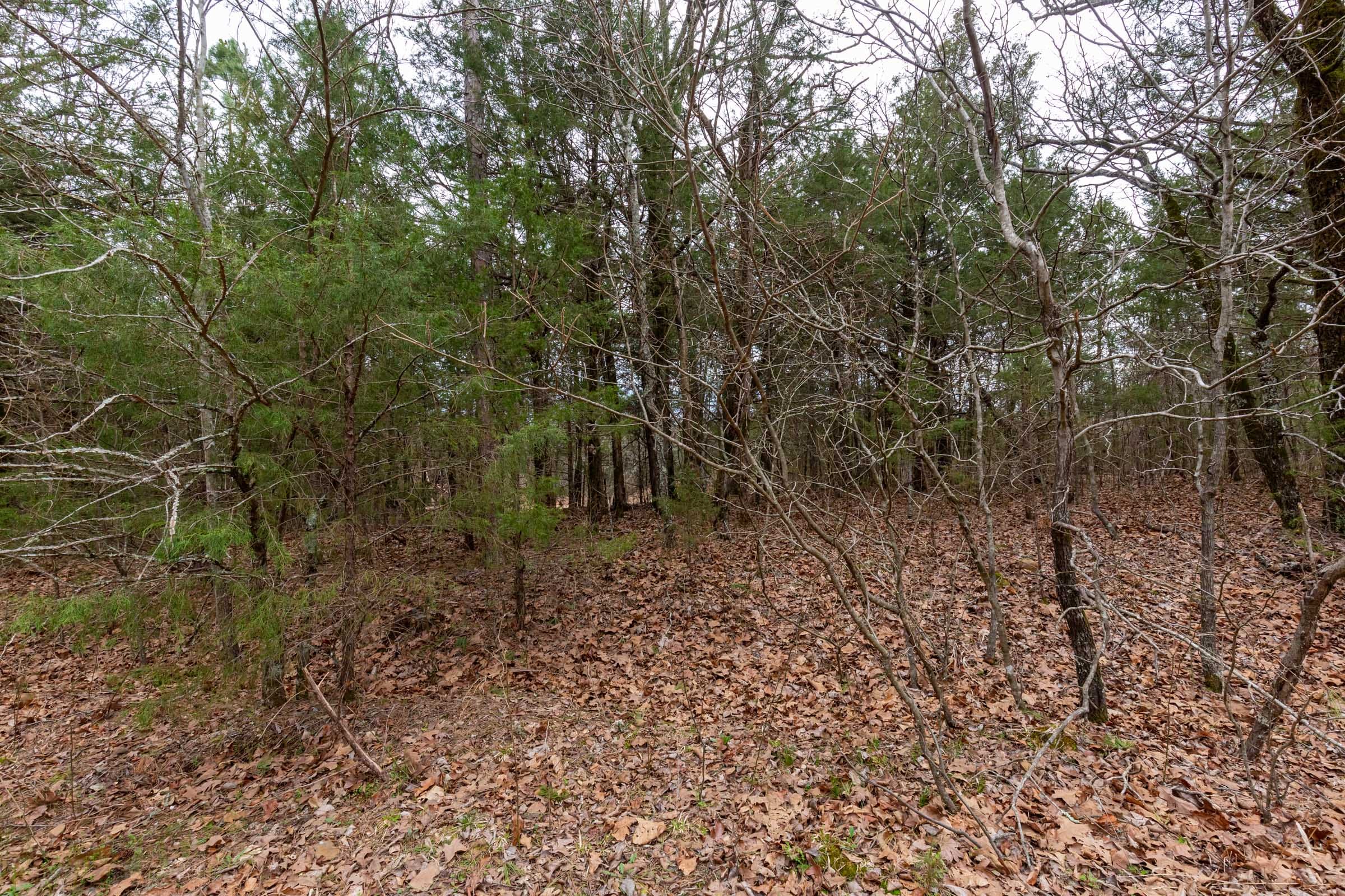 Stone Bridge Phase III Tract 146 photo 8