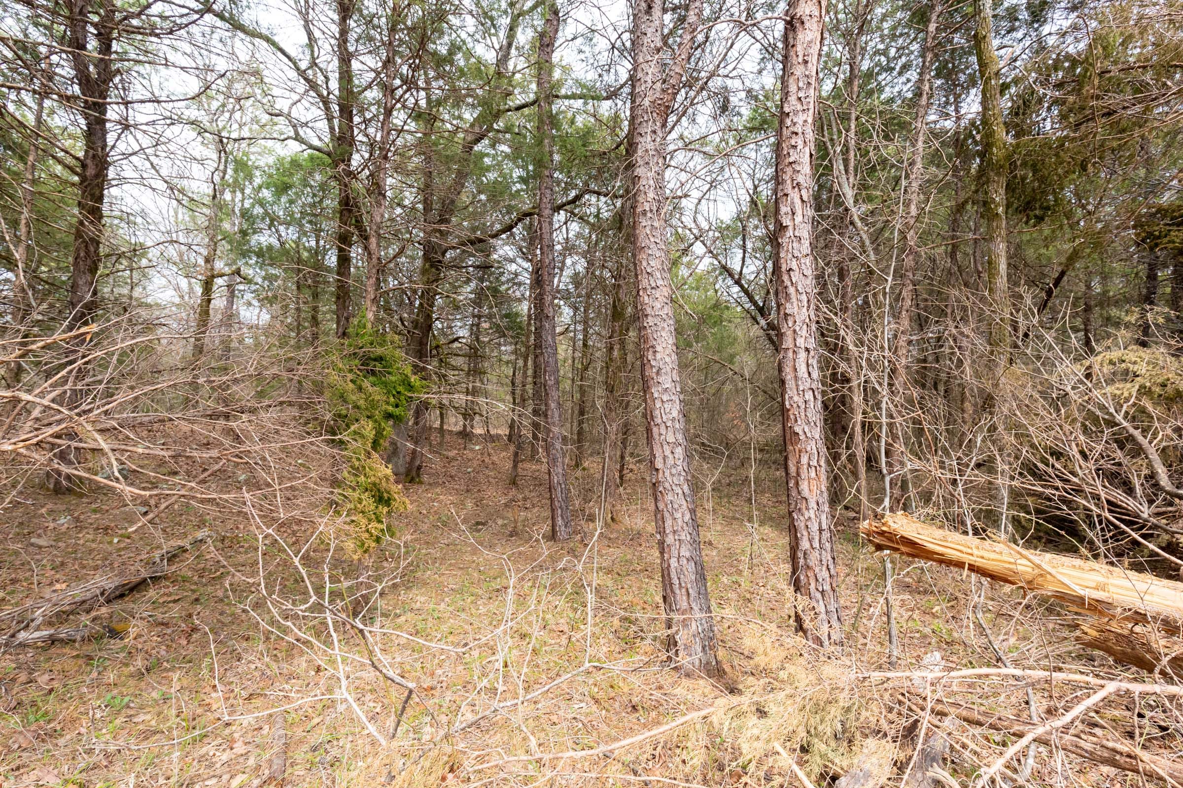 Stone Bridge Phase III Tract 146 photo 10