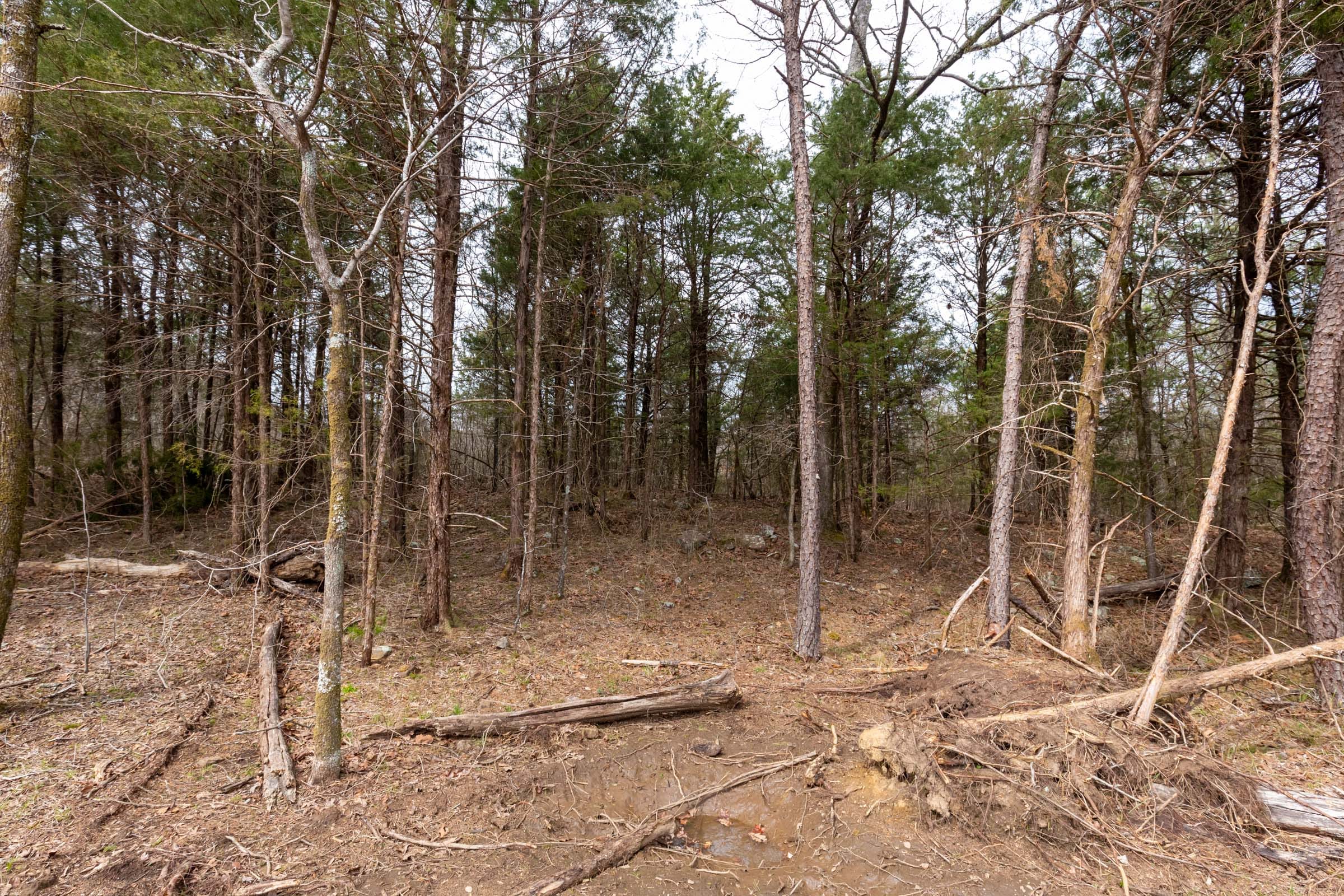 Stone Bridge Phase III Tract 146 photo 11