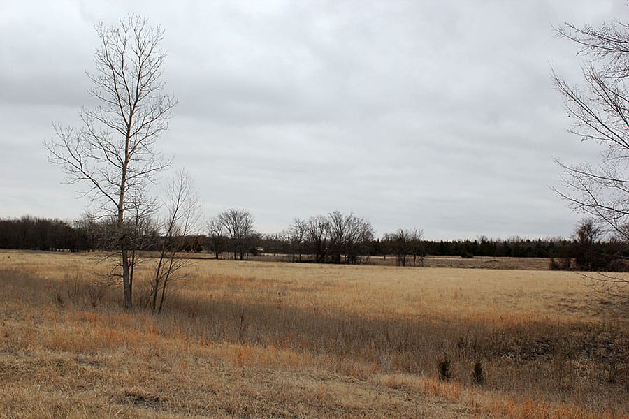 Red River Ranch Tract 5 photo 7