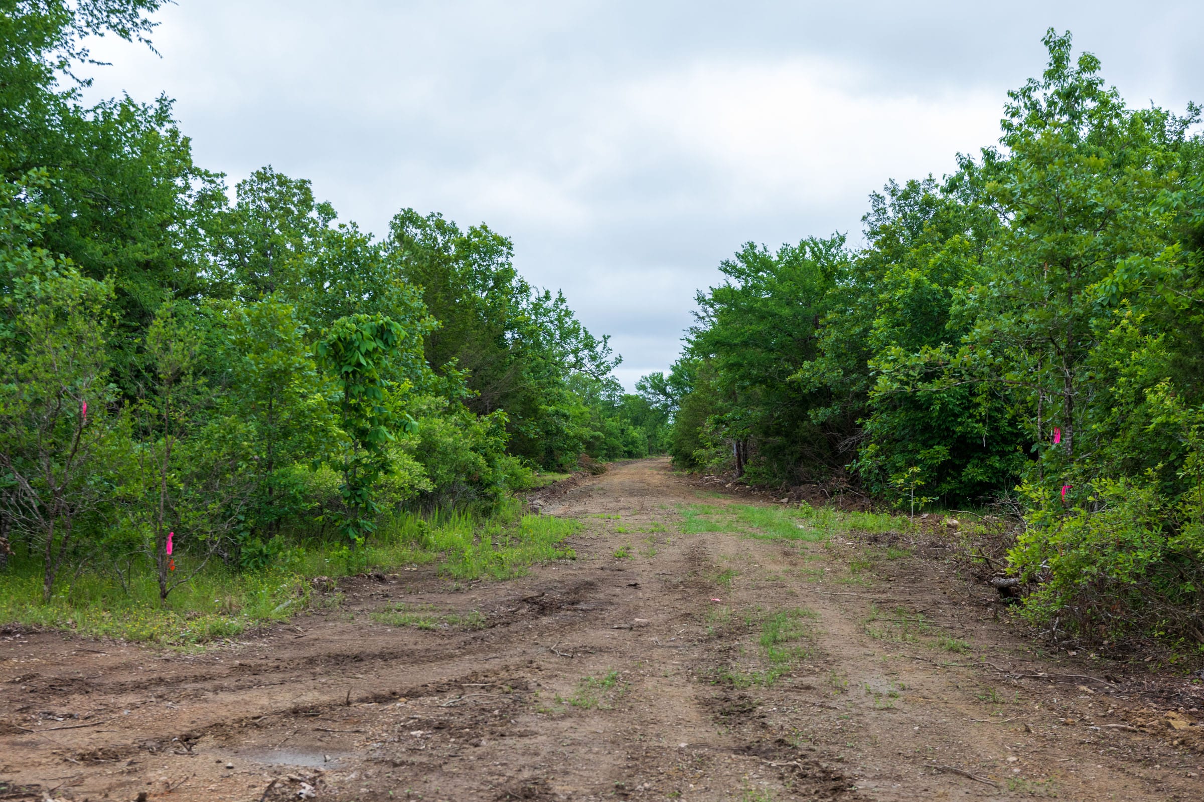 Falcon Crest Tract 12 photo 3
