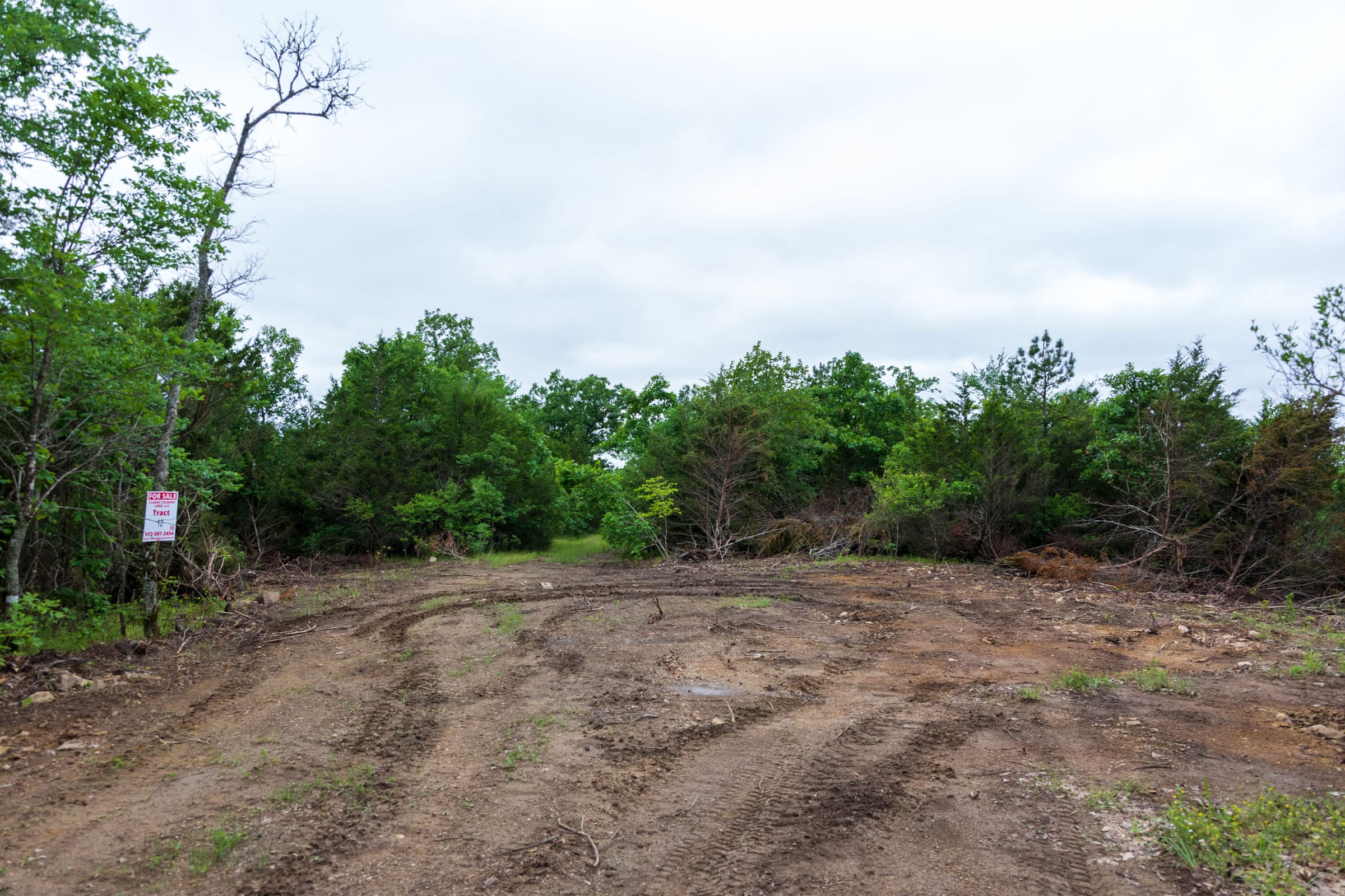Falcon Crest Tract 12 photo 5