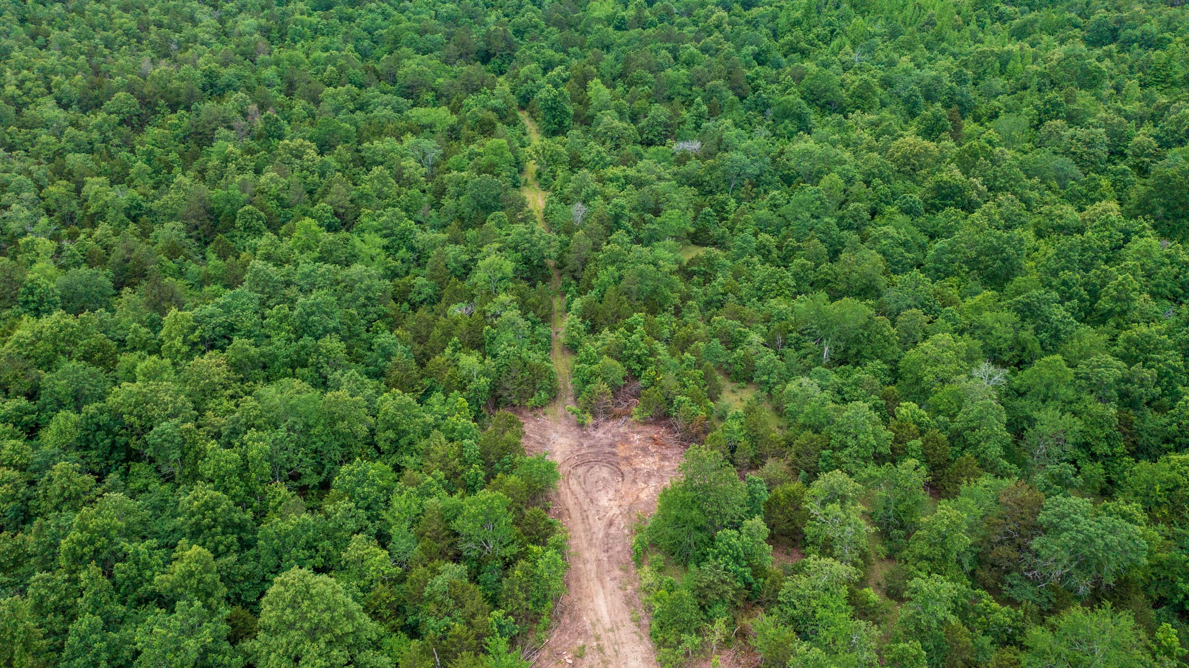 Falcon Crest Tract 12 photo 6