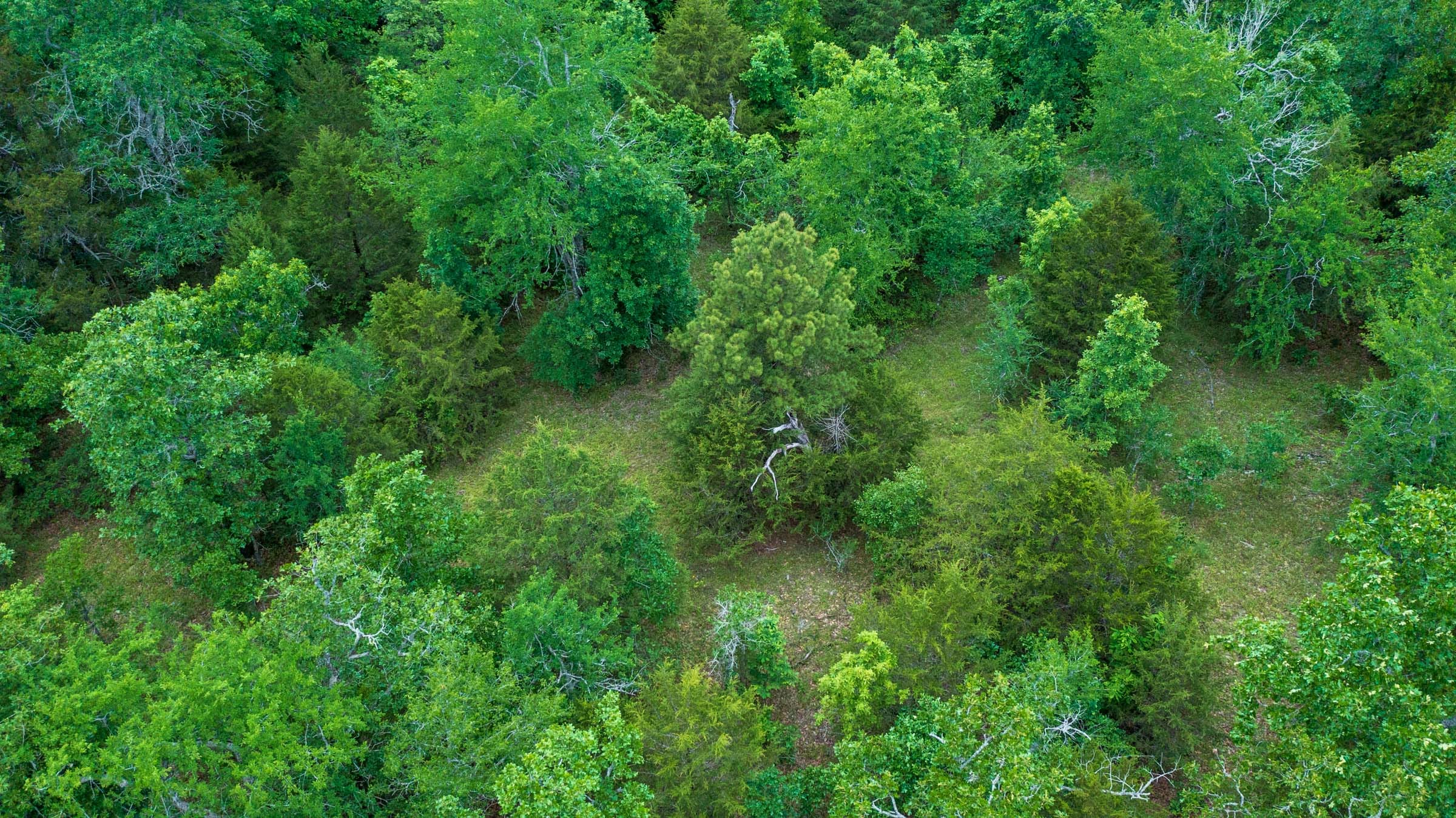 Falcon Crest Tract 12 photo 7