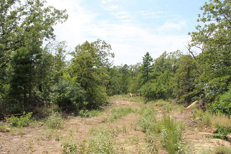 Trophy Ridge Phase III Tract 14 photo 1
