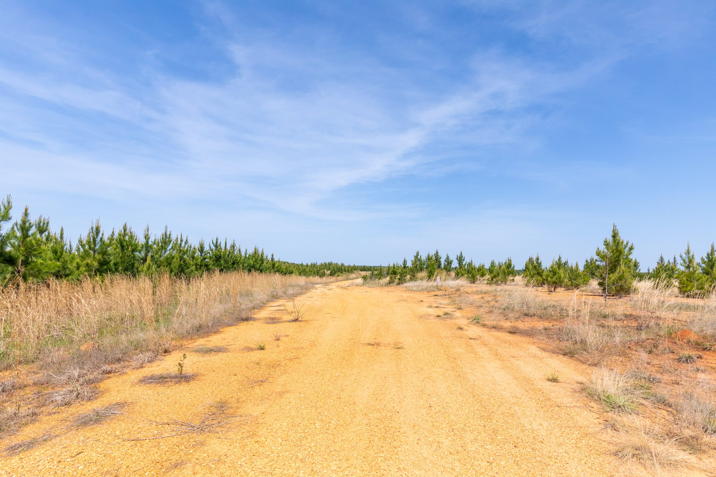 Clear Wood Tract 47 photo 1