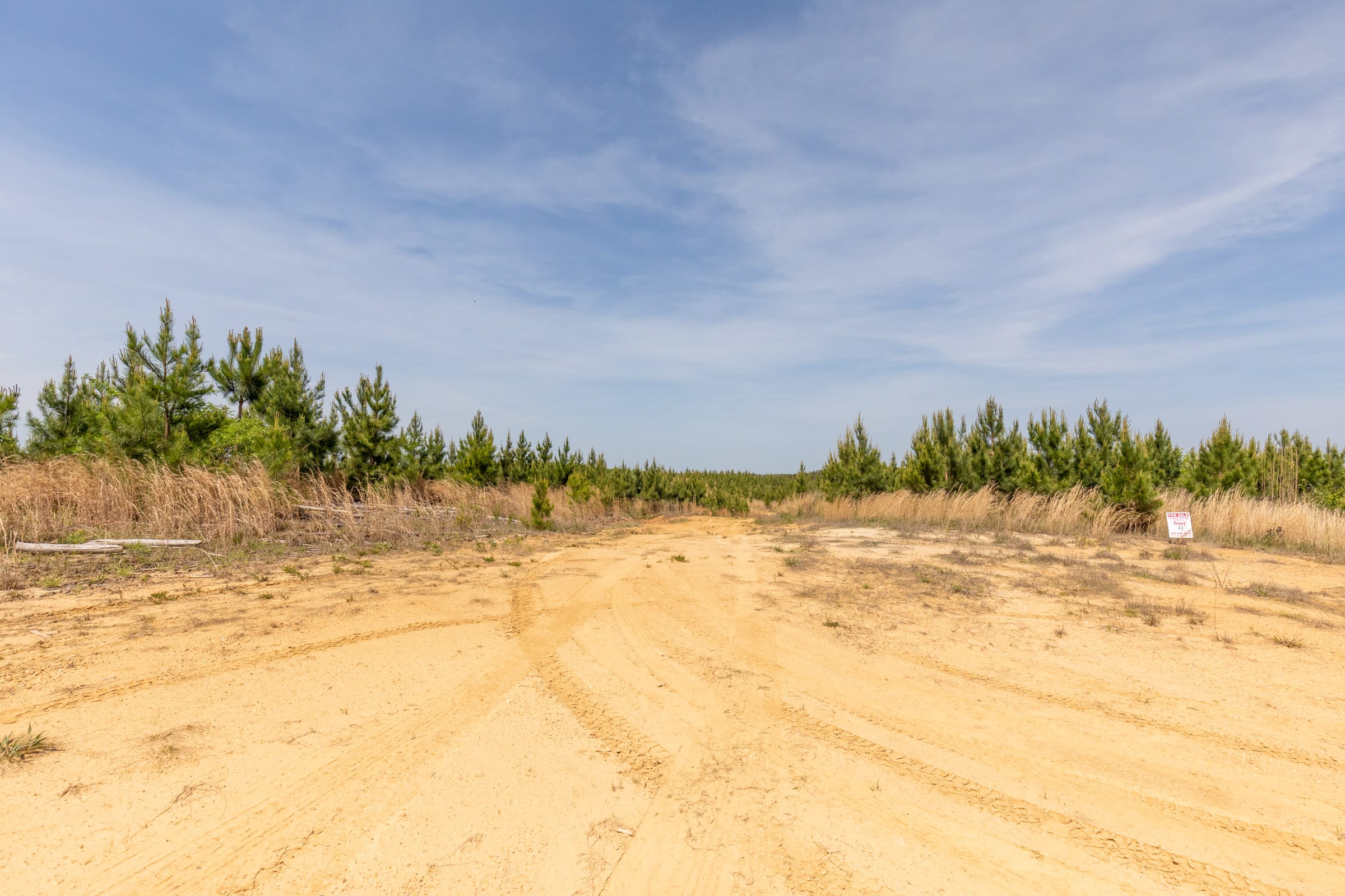Clear Wood Tract 47 photo 10