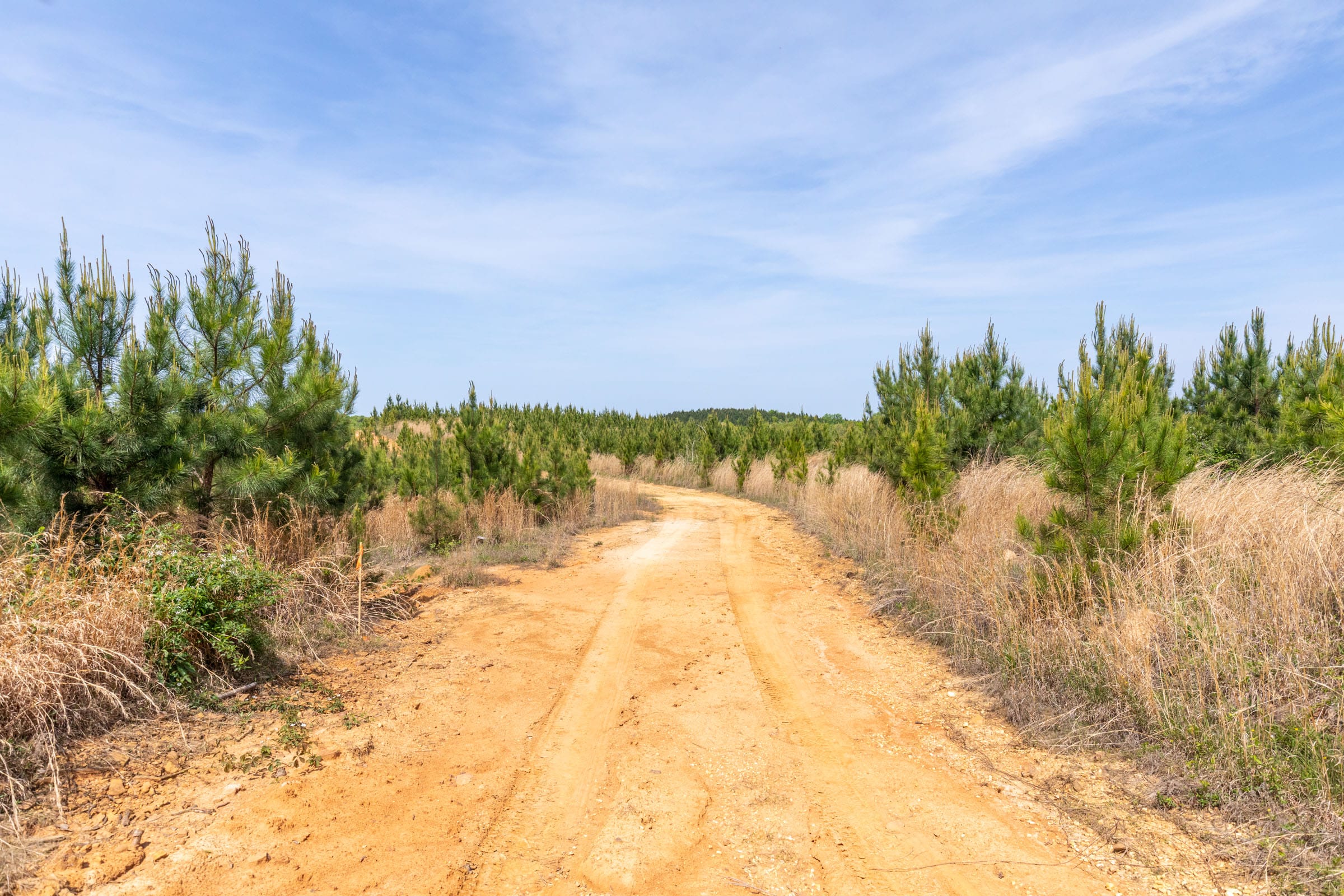 Clear Wood Tract 47 photo 5