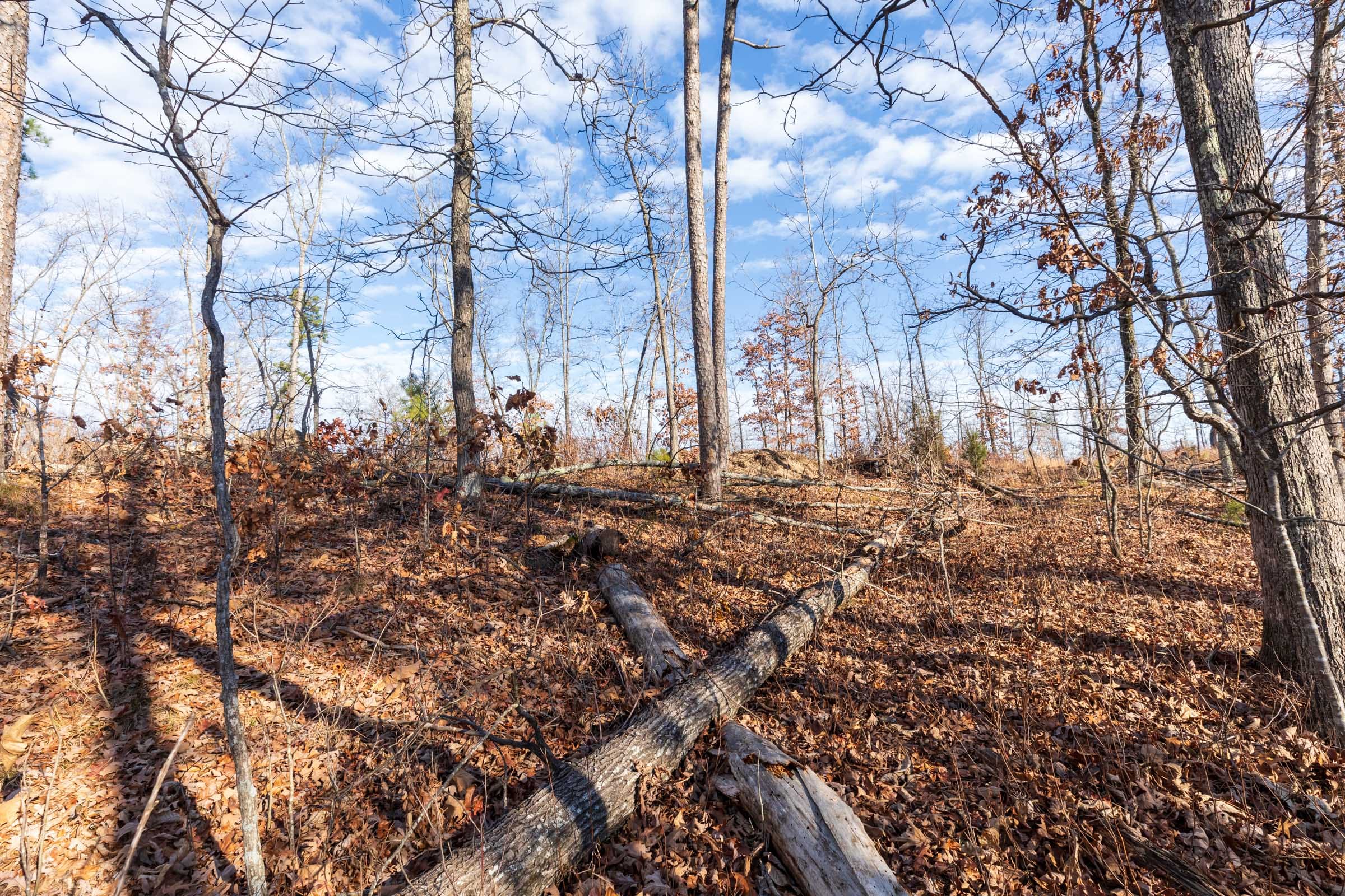 Cypress Ridge Tract 41 photo 9