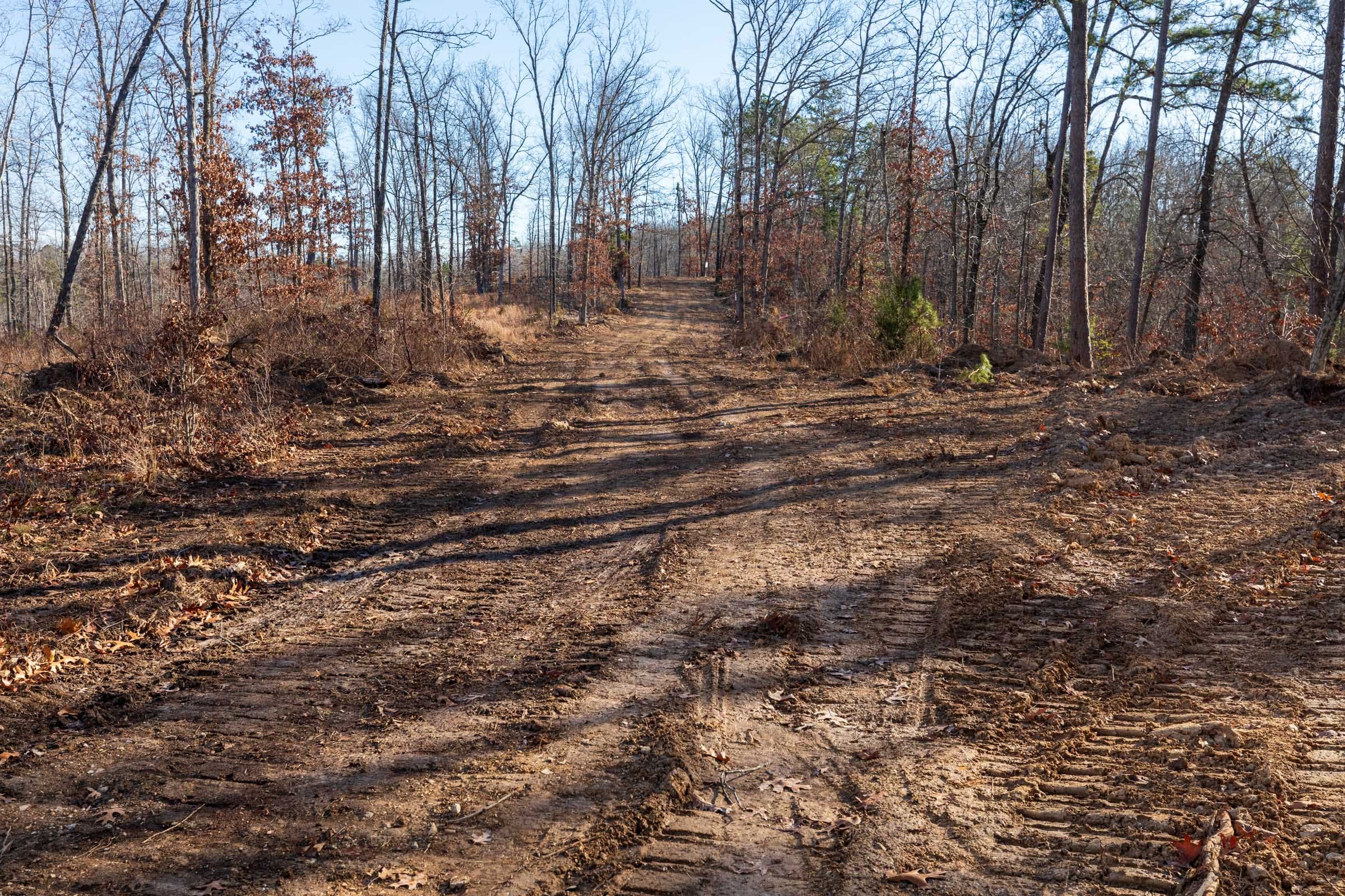 Cypress Ridge Tract 41 photo 1