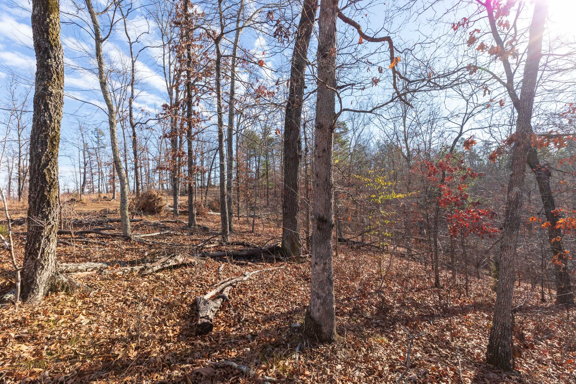 Cypress Ridge Tract 41 photo 5