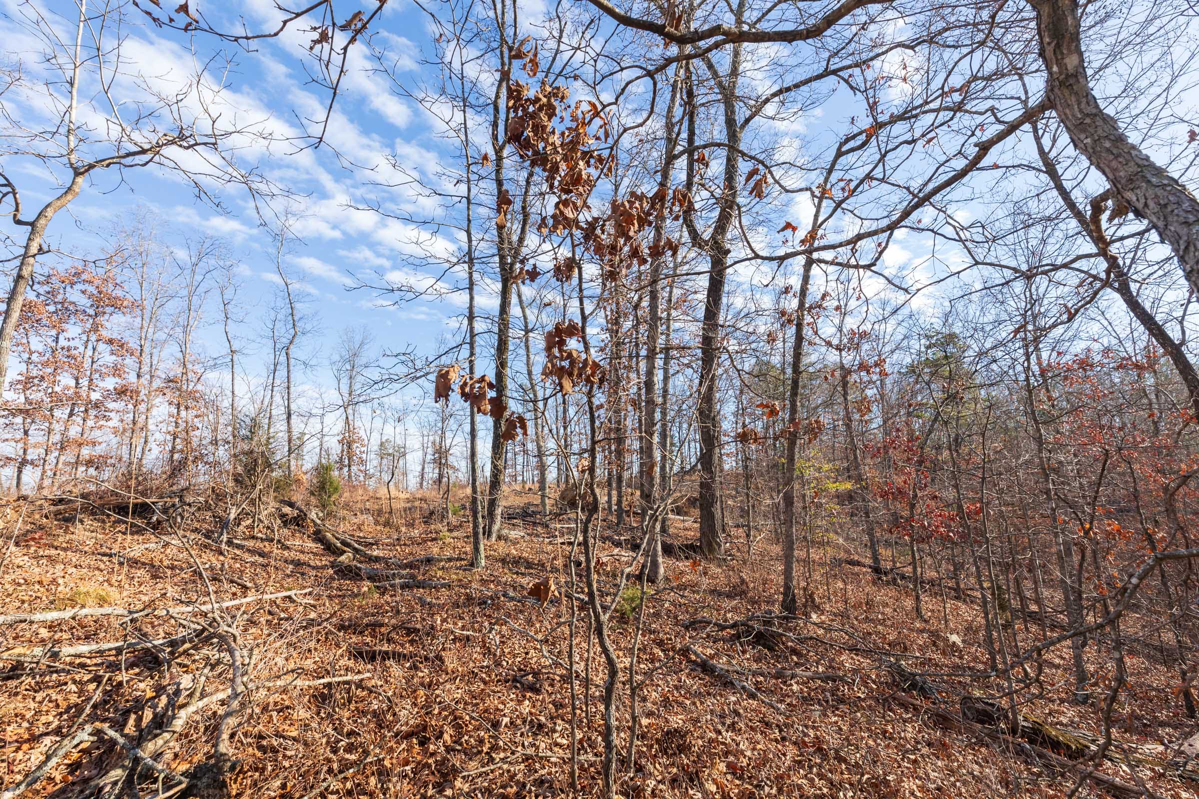 Cypress Ridge Tract 41 photo 4