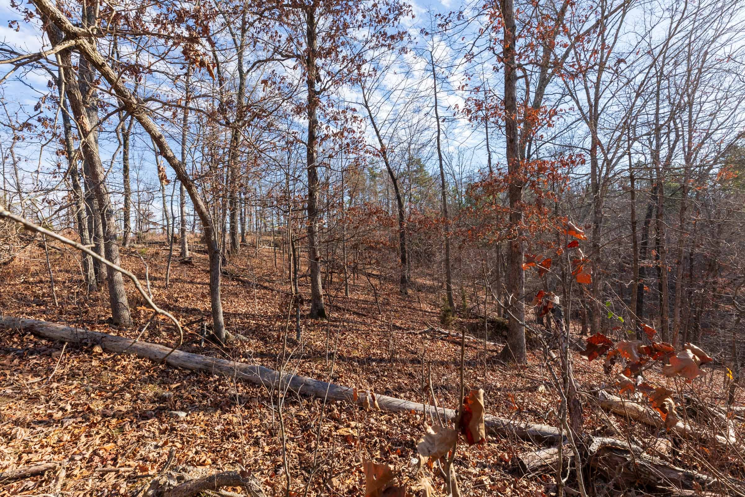 Cypress Ridge Tract 41 photo 2