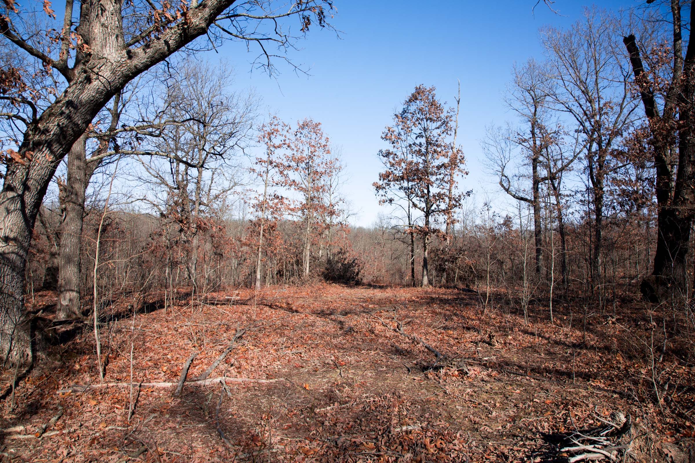 Buffalo Hills Tract 20 photo 3