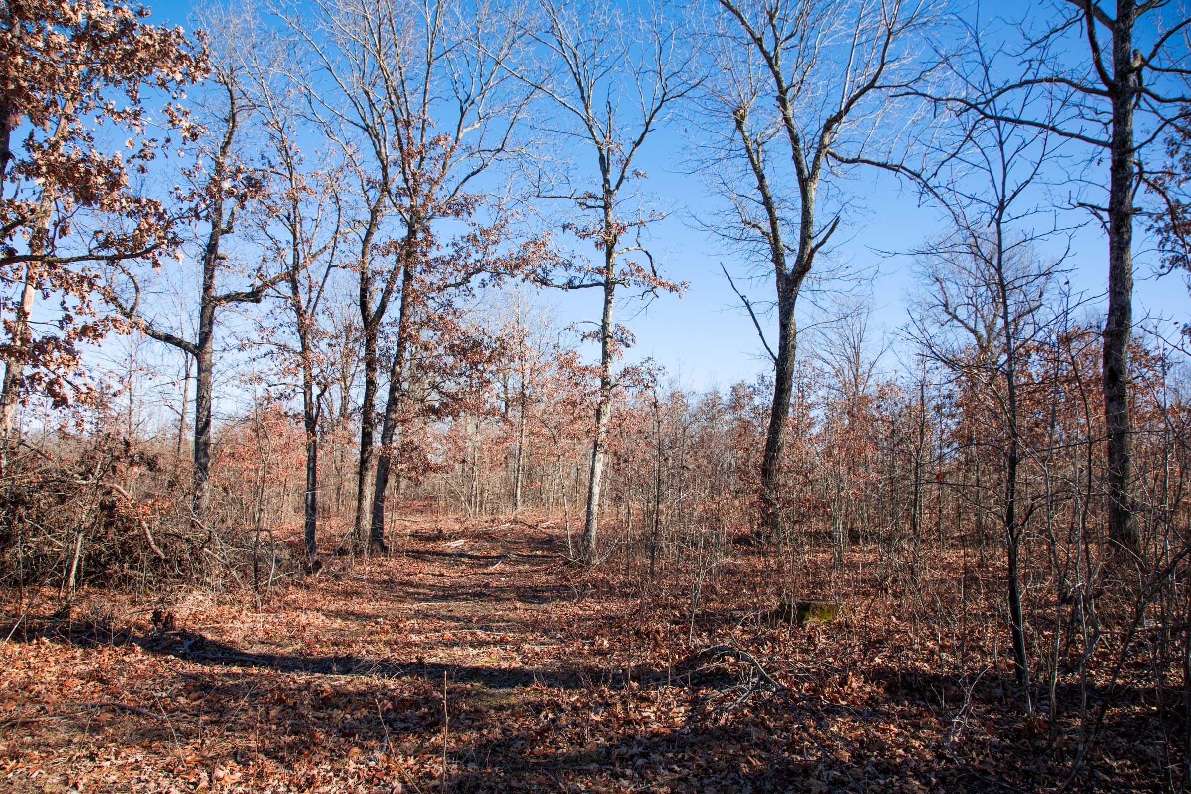 Buffalo Hills Tract 20 photo 4