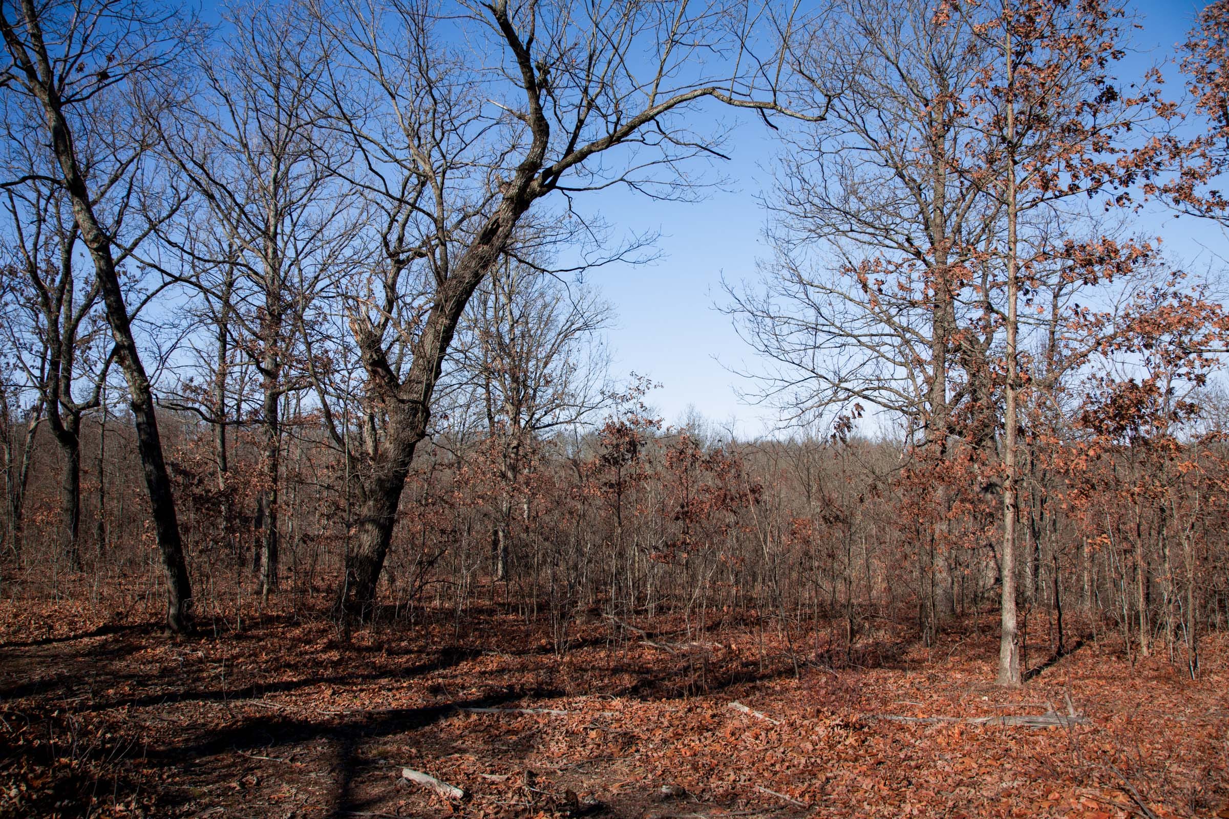 Buffalo Hills Tract 20 photo 5