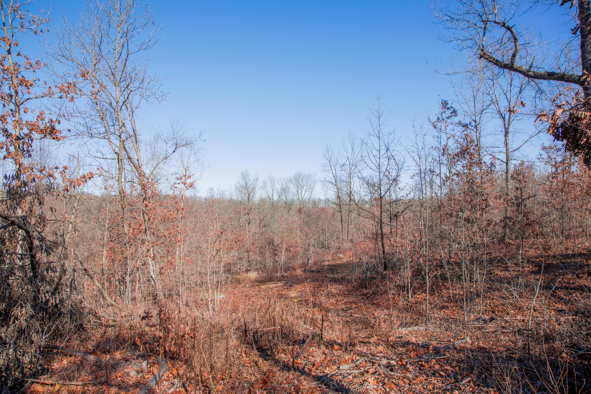 Buffalo Hills Tract 20 photo 6