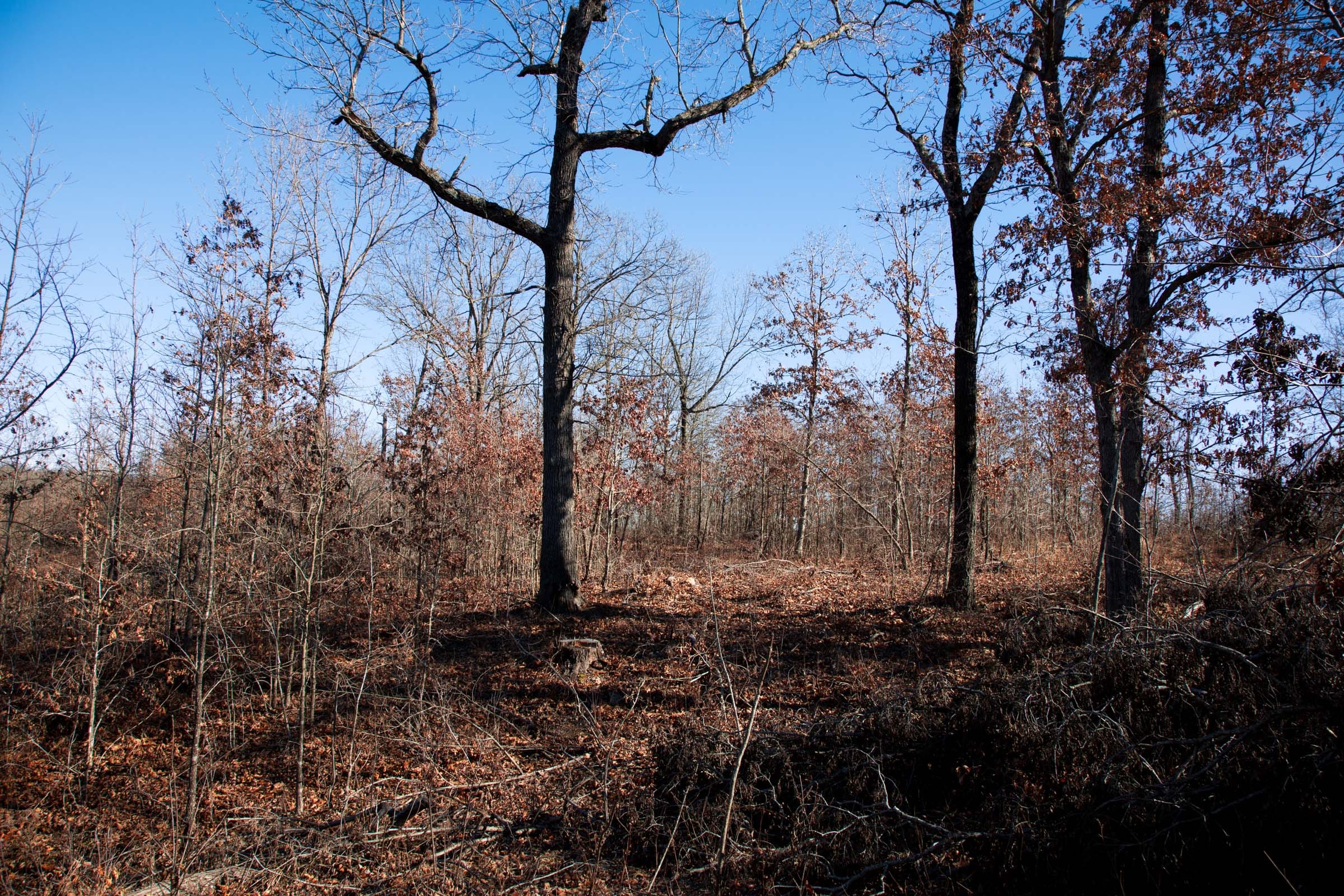 Buffalo Hills Tract 20 photo 7