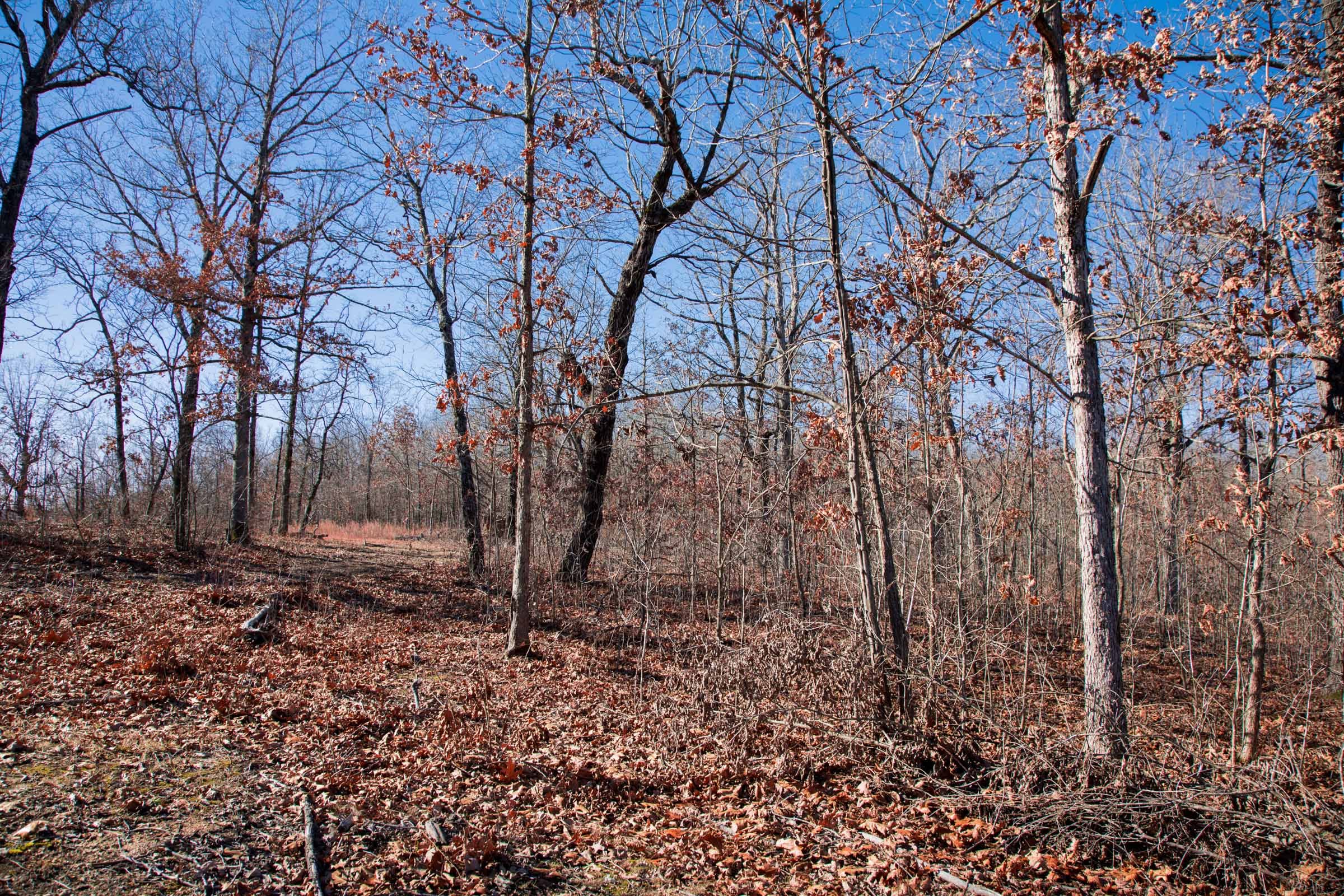 Buffalo Hills Tract 20 photo 8