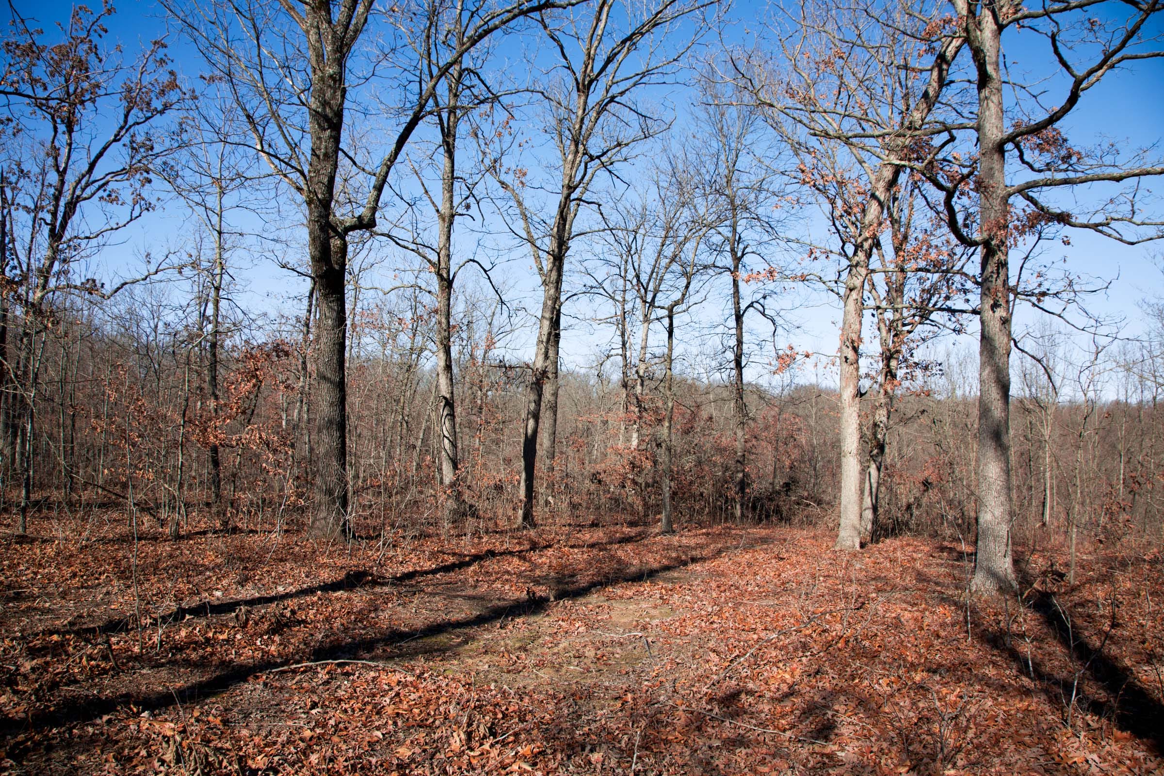Buffalo Hills Tract 20 photo 10