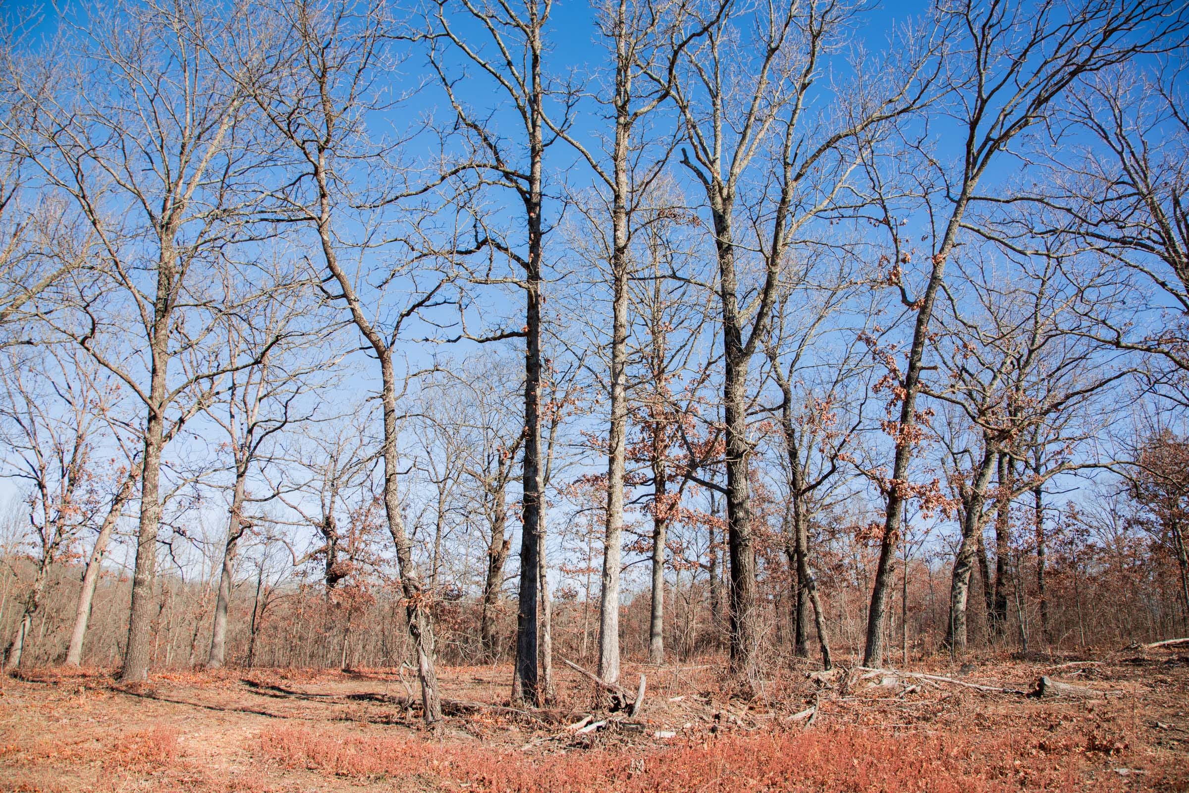 Buffalo Hills Tract 20 photo 11