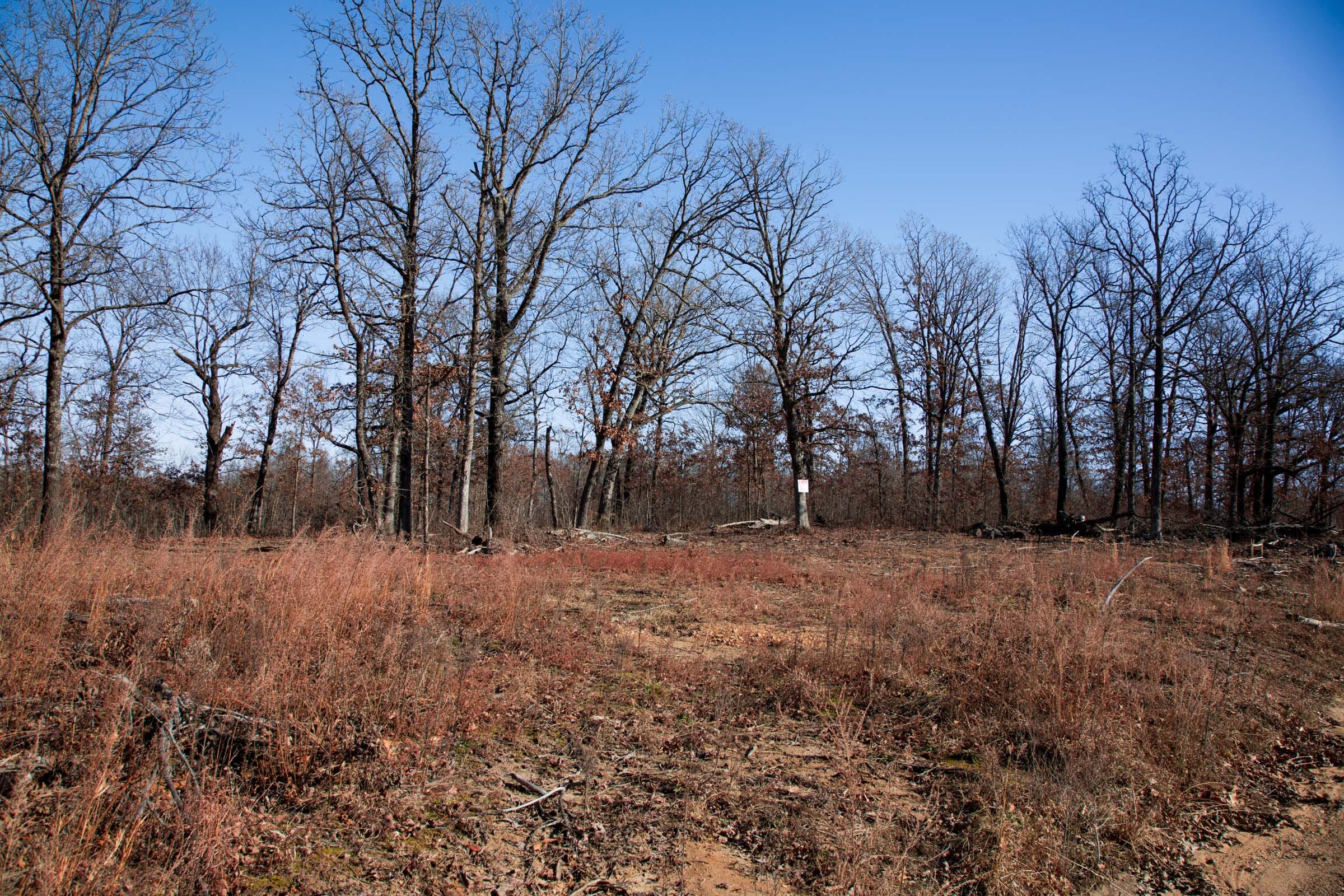 Buffalo Hills Tract 20 photo 12